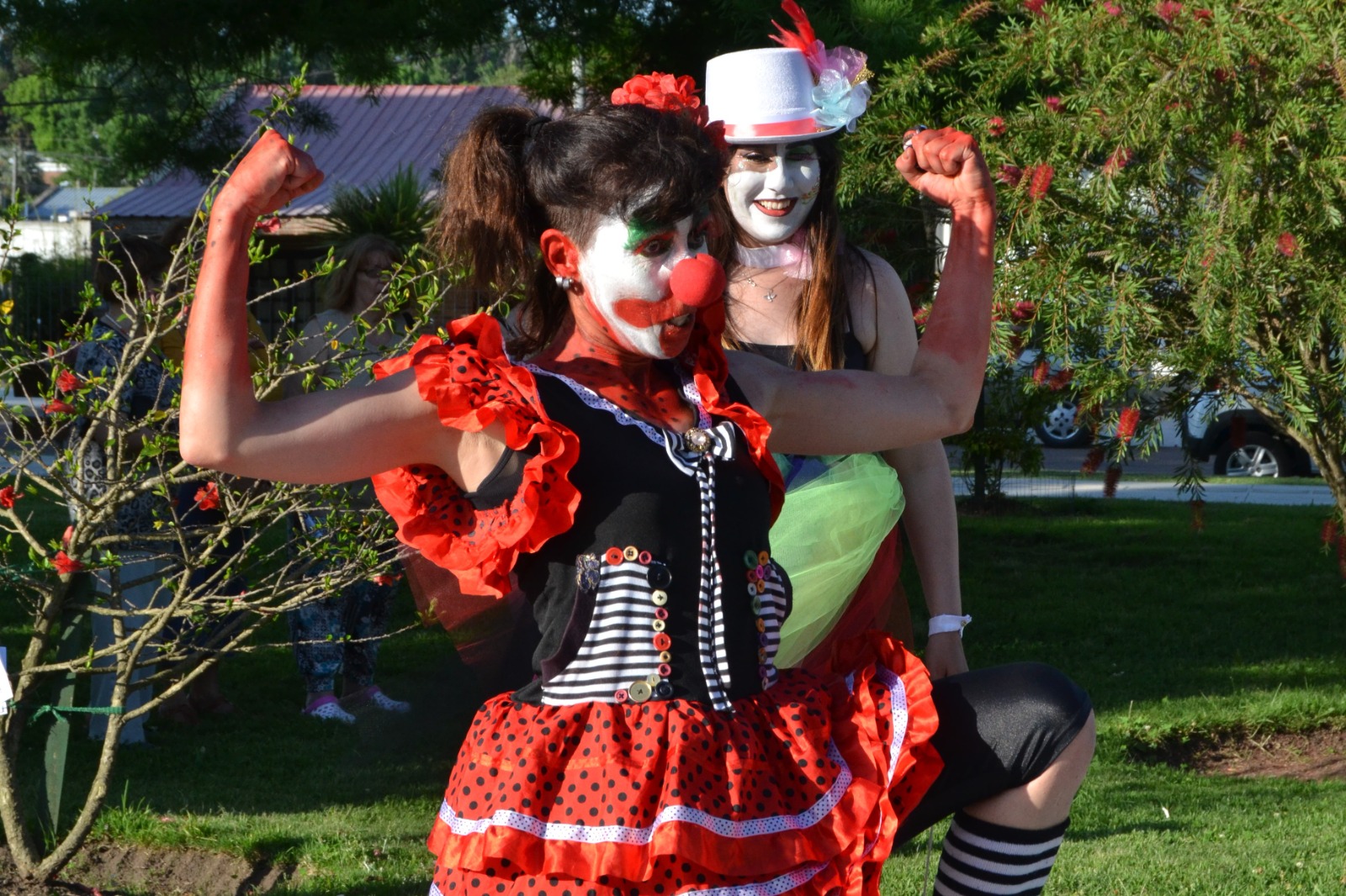 capacitación cursos talleres 