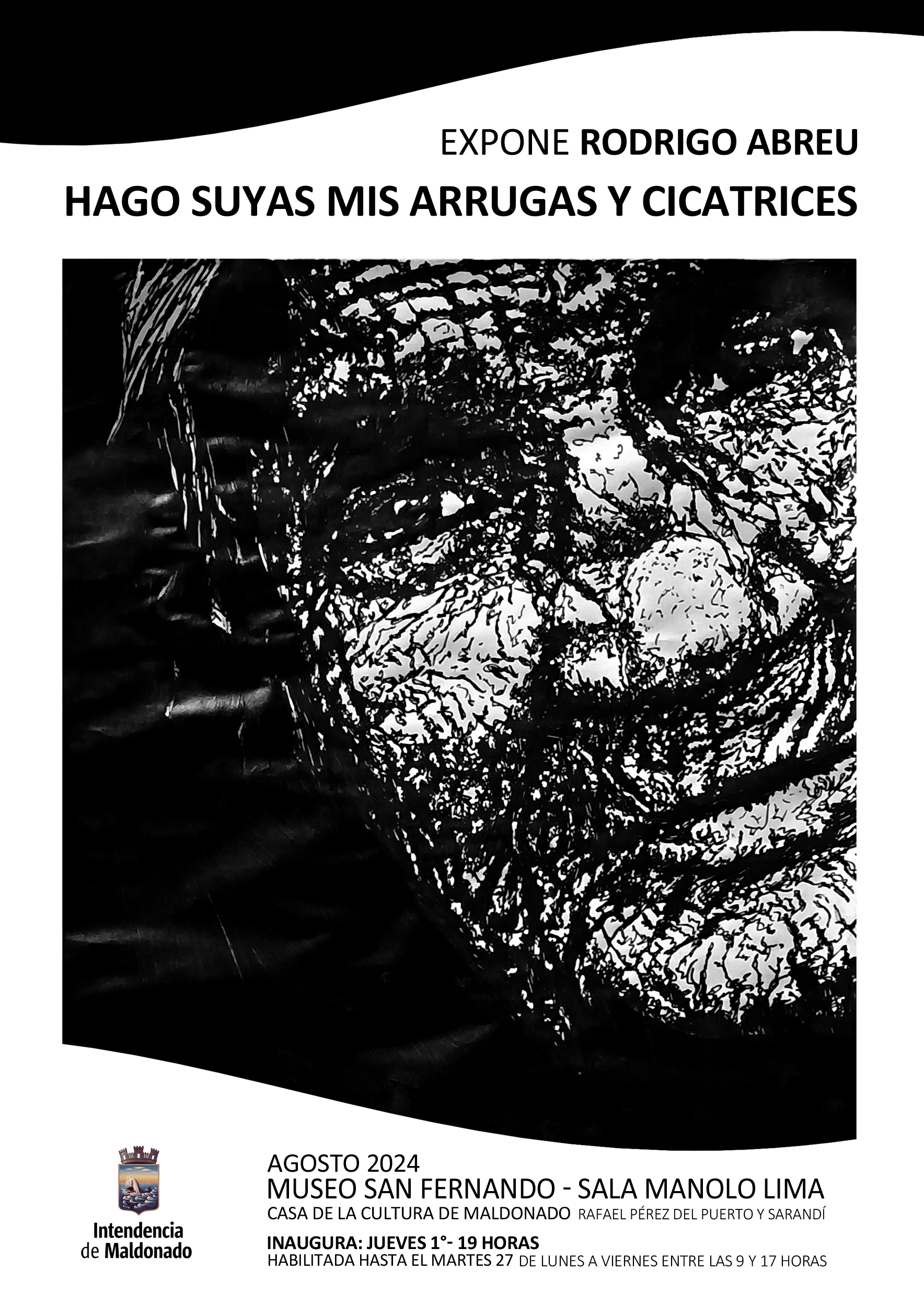 muestras cultura idm