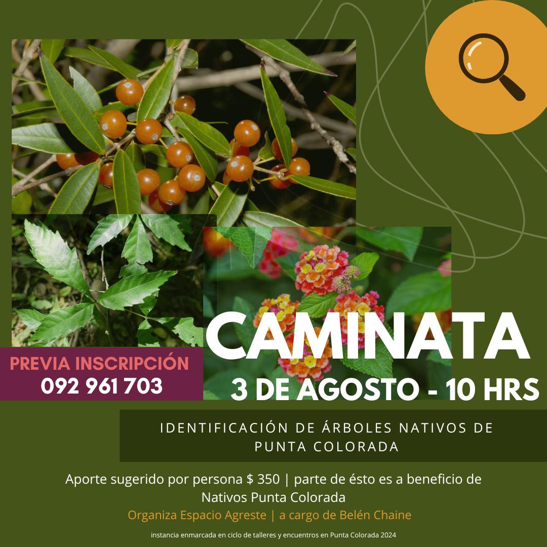 caminata