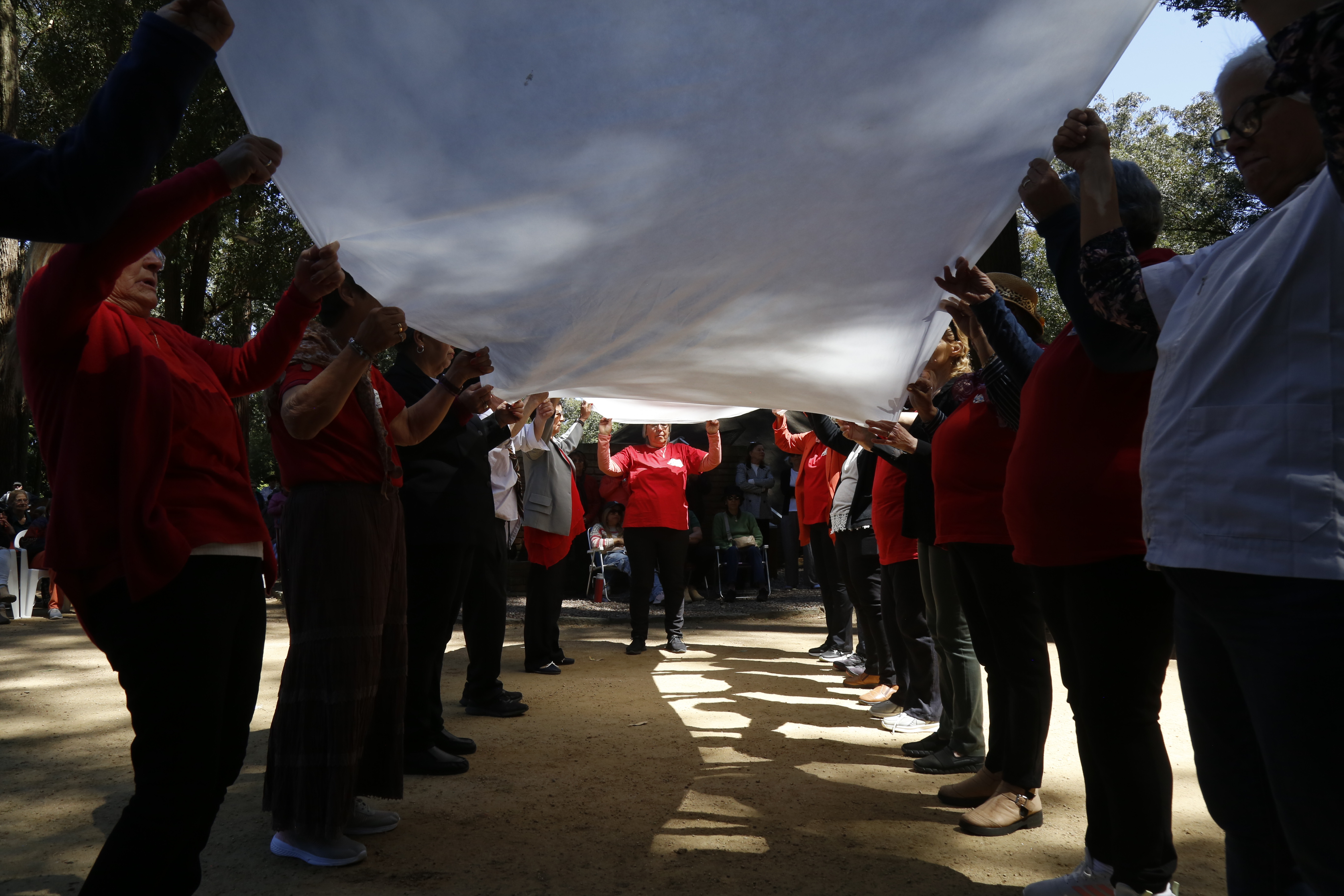 antia encuentro mayores