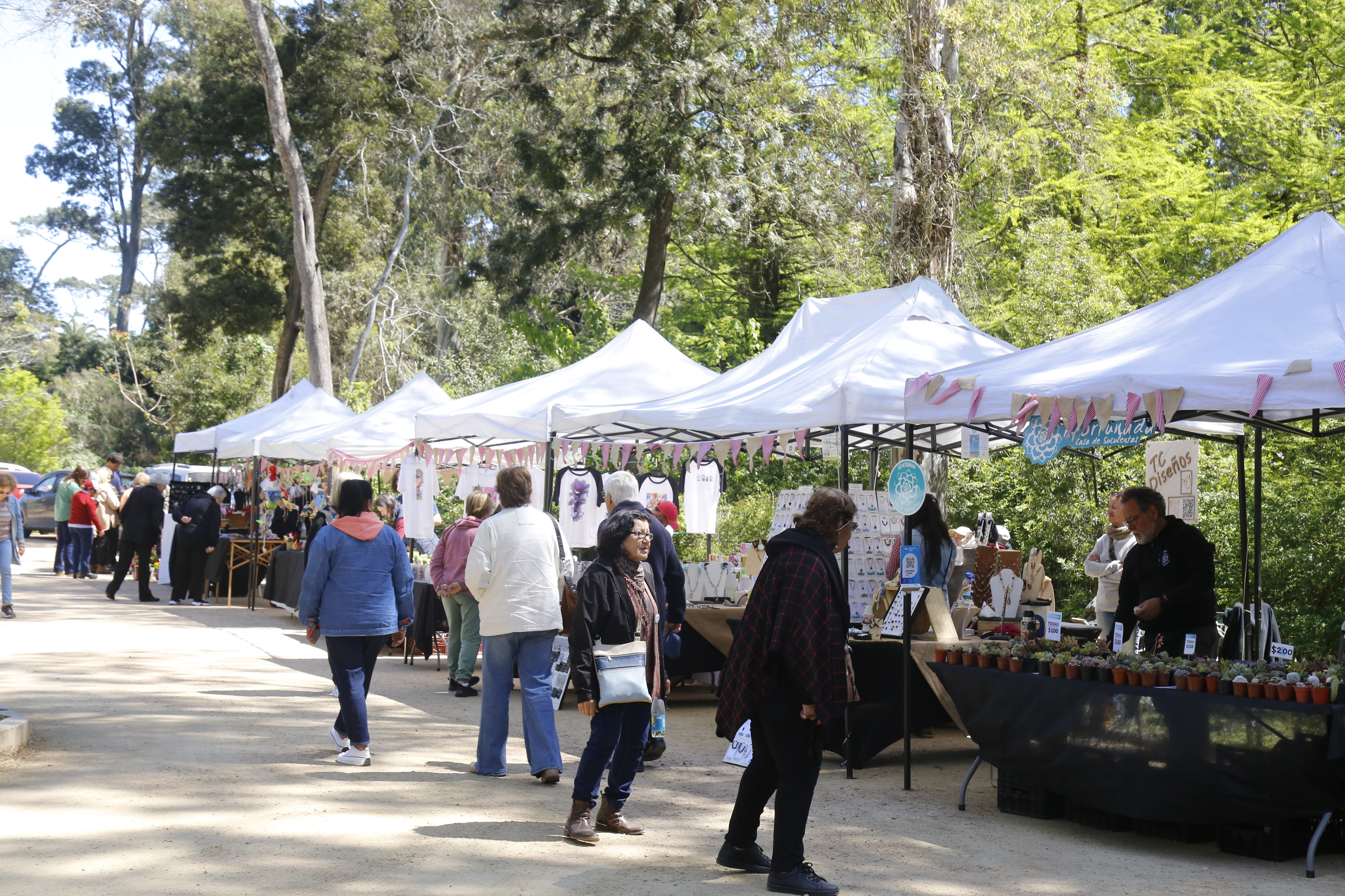 antia encuentro mayores