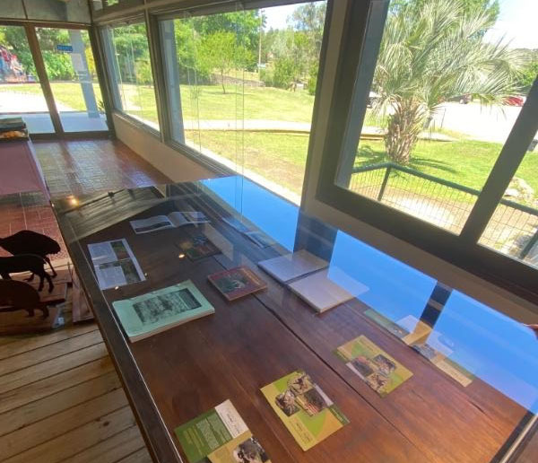 centro exposiciones ecfa