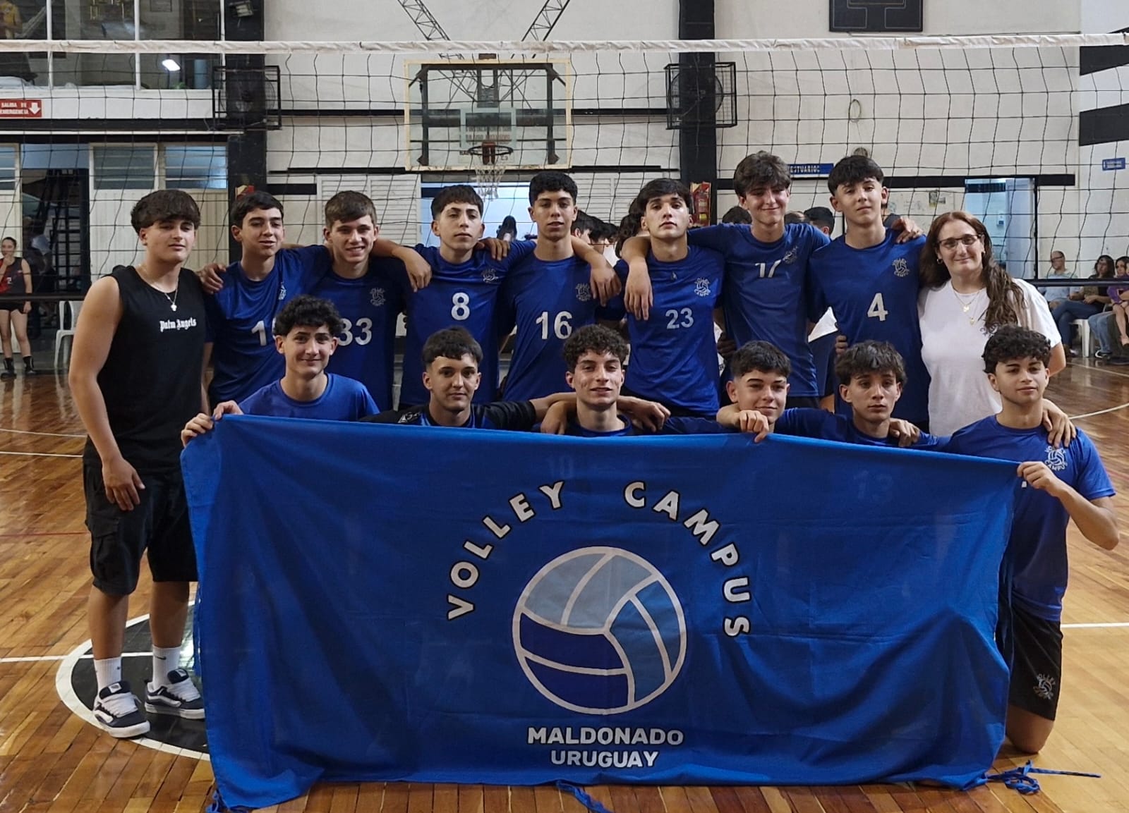 Voley