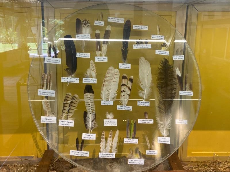 centro exposiciones ecfa