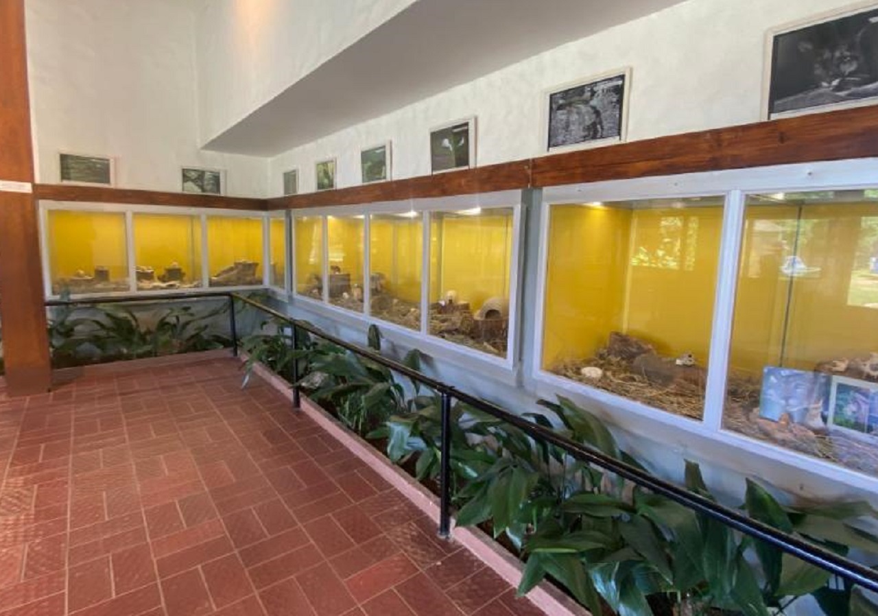 centro exposiciones ecfa