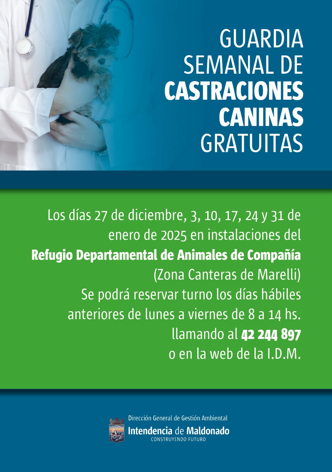 Calendario de castraciones caninas