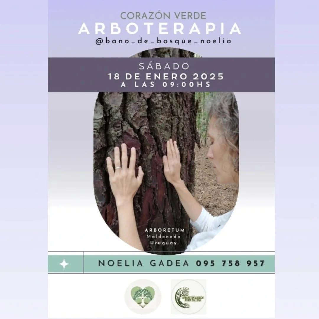 arboterapia