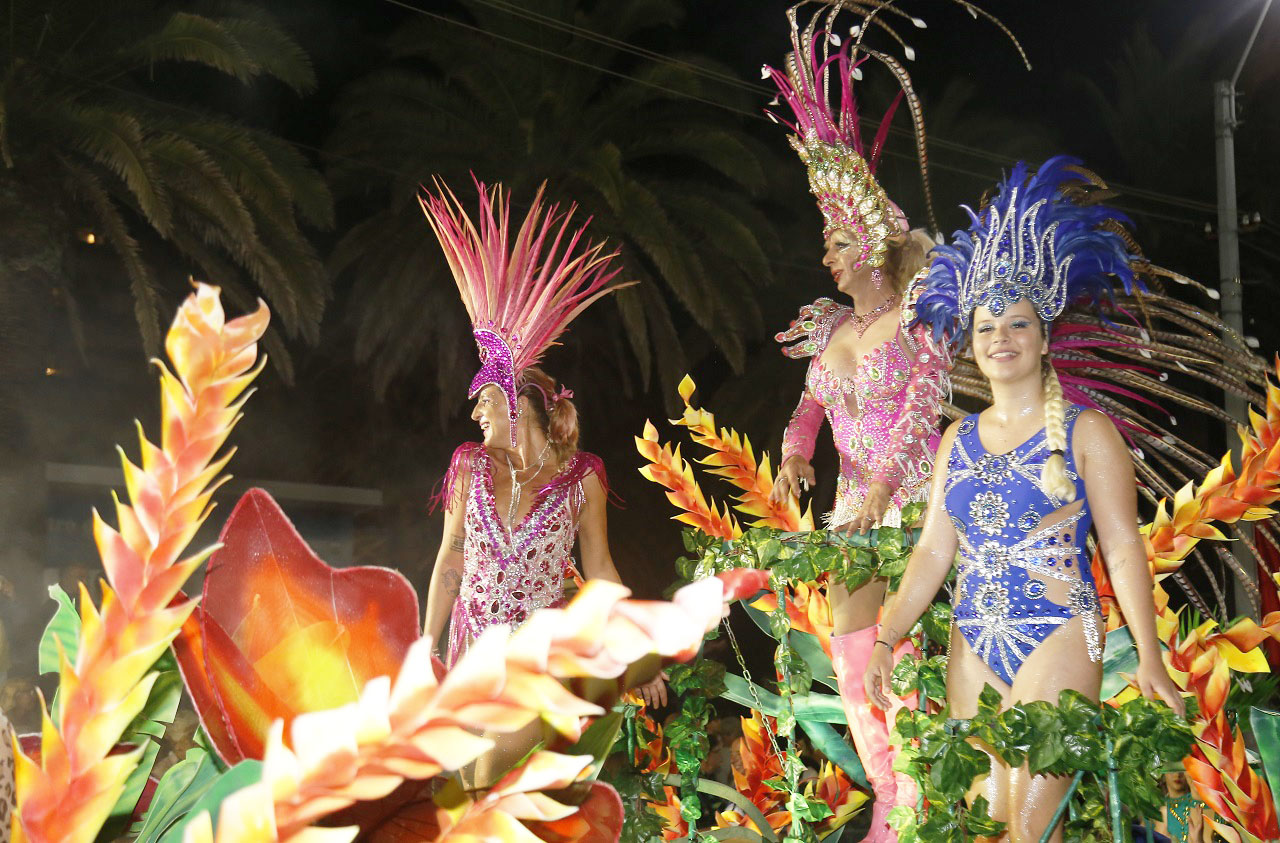 categorización samba