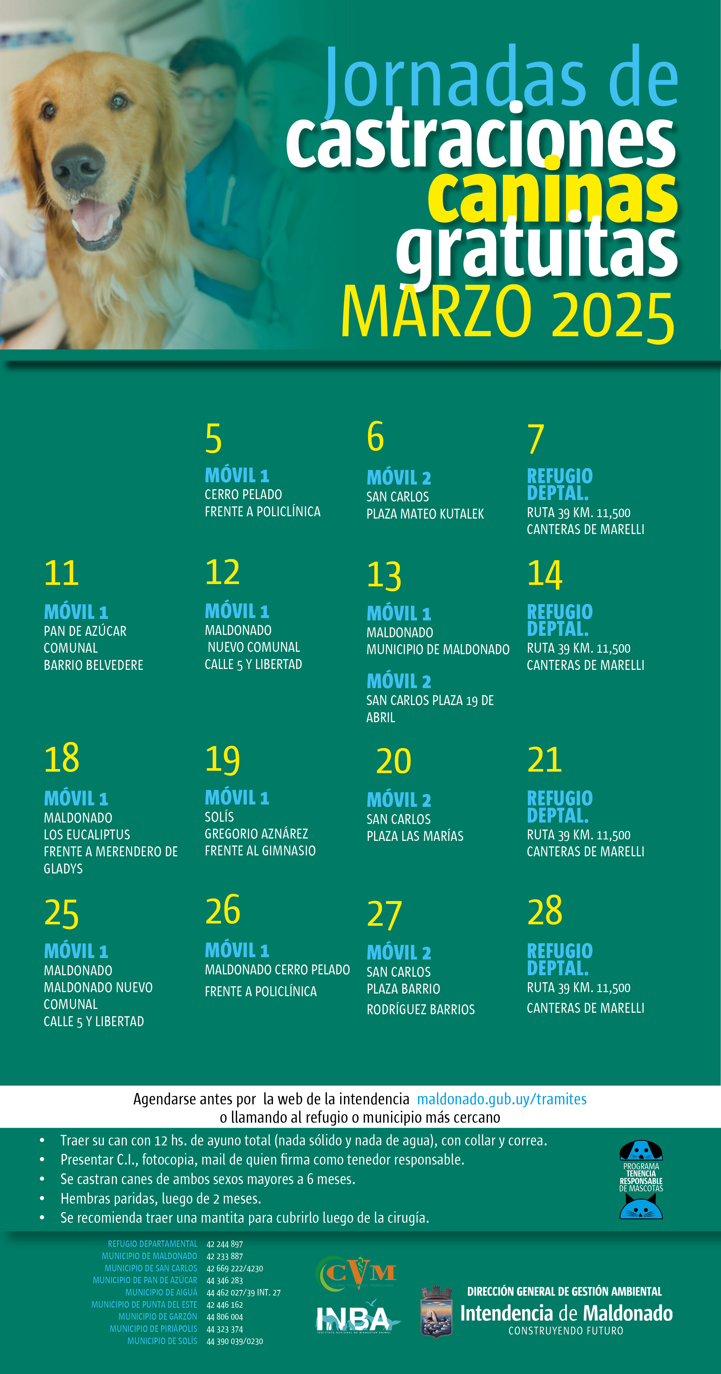 Calendario de castraciones caninas