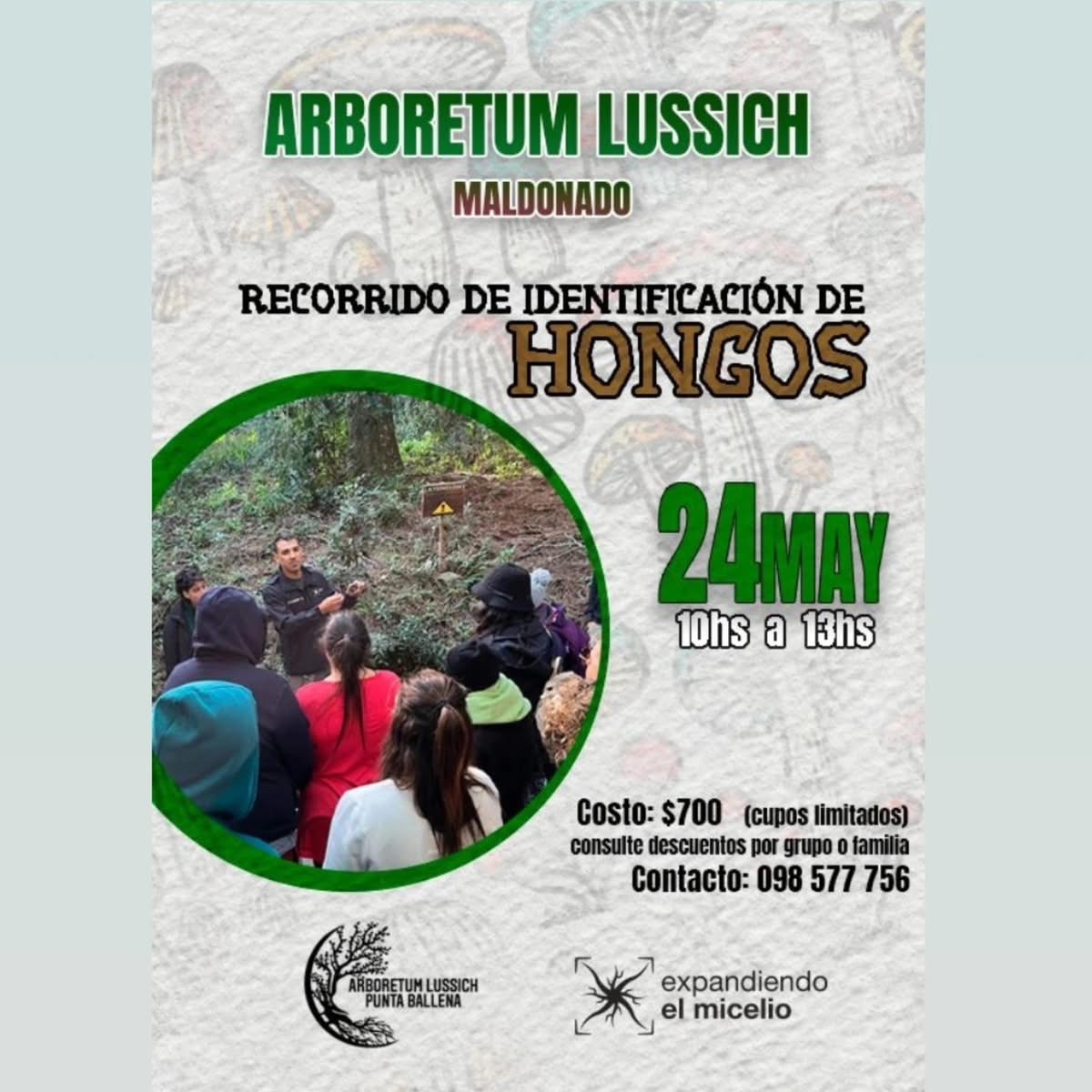 curso hongos