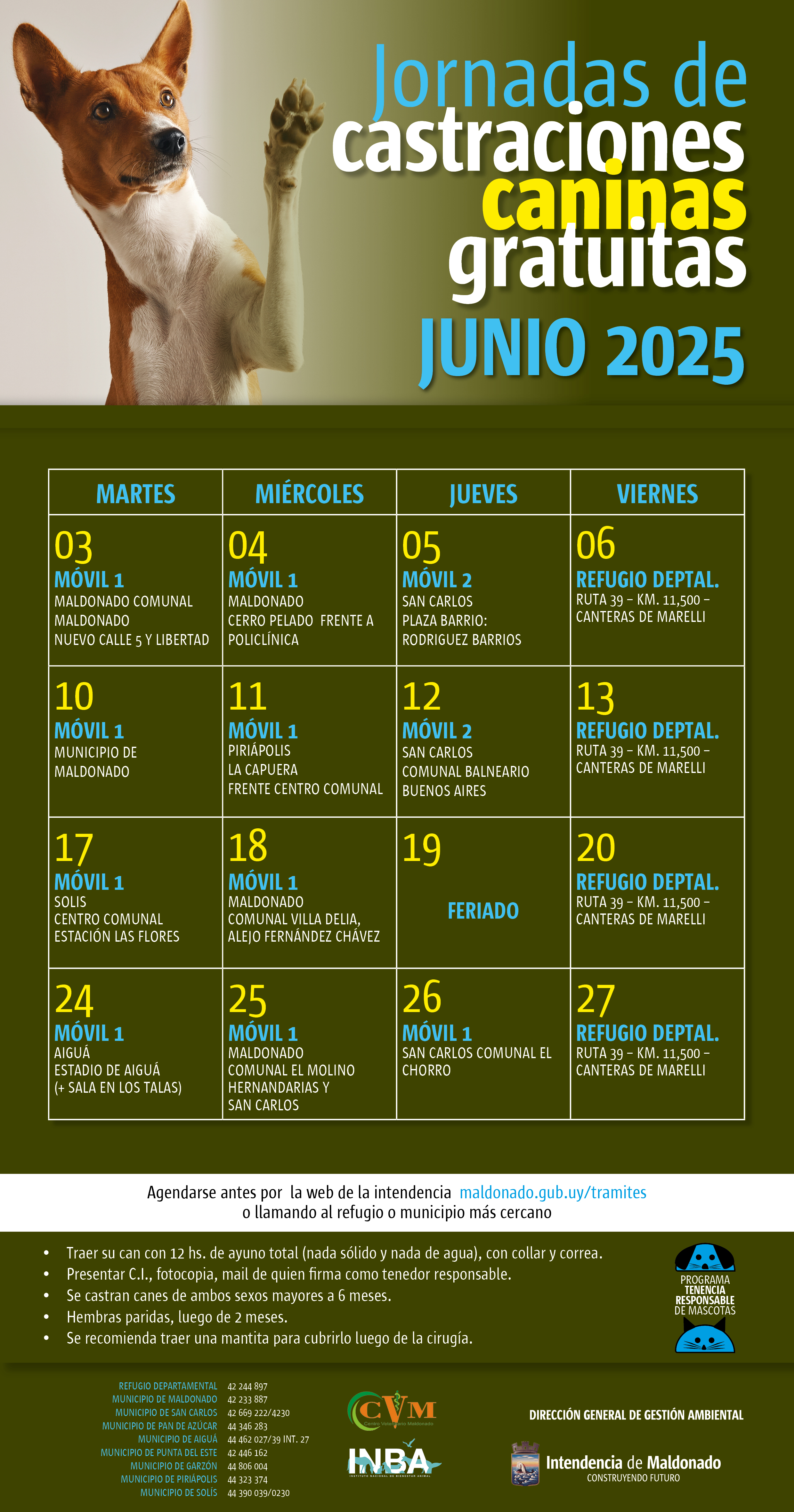 Calendario de castraciones caninas