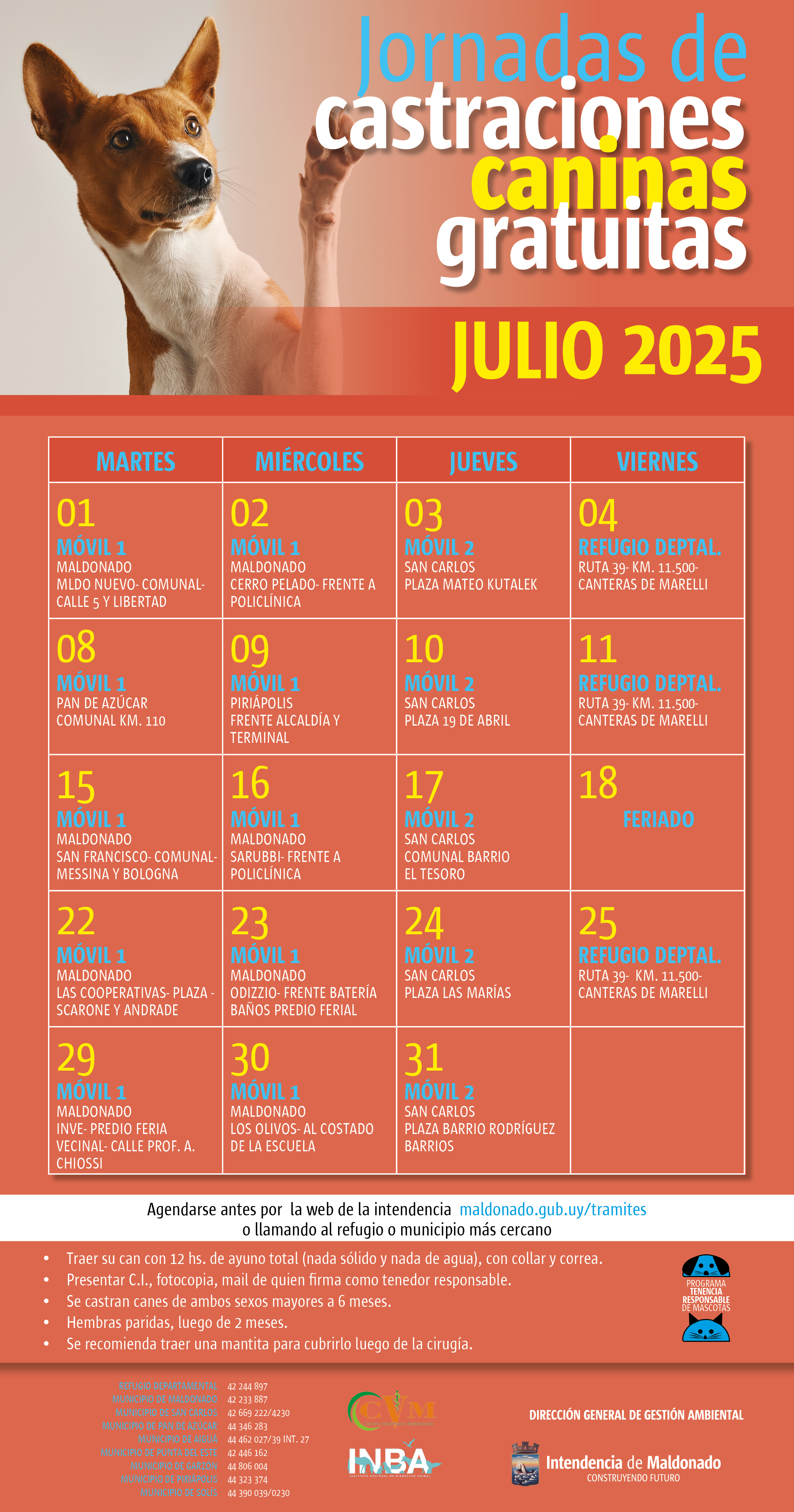 Calendario de castraciones caninas
