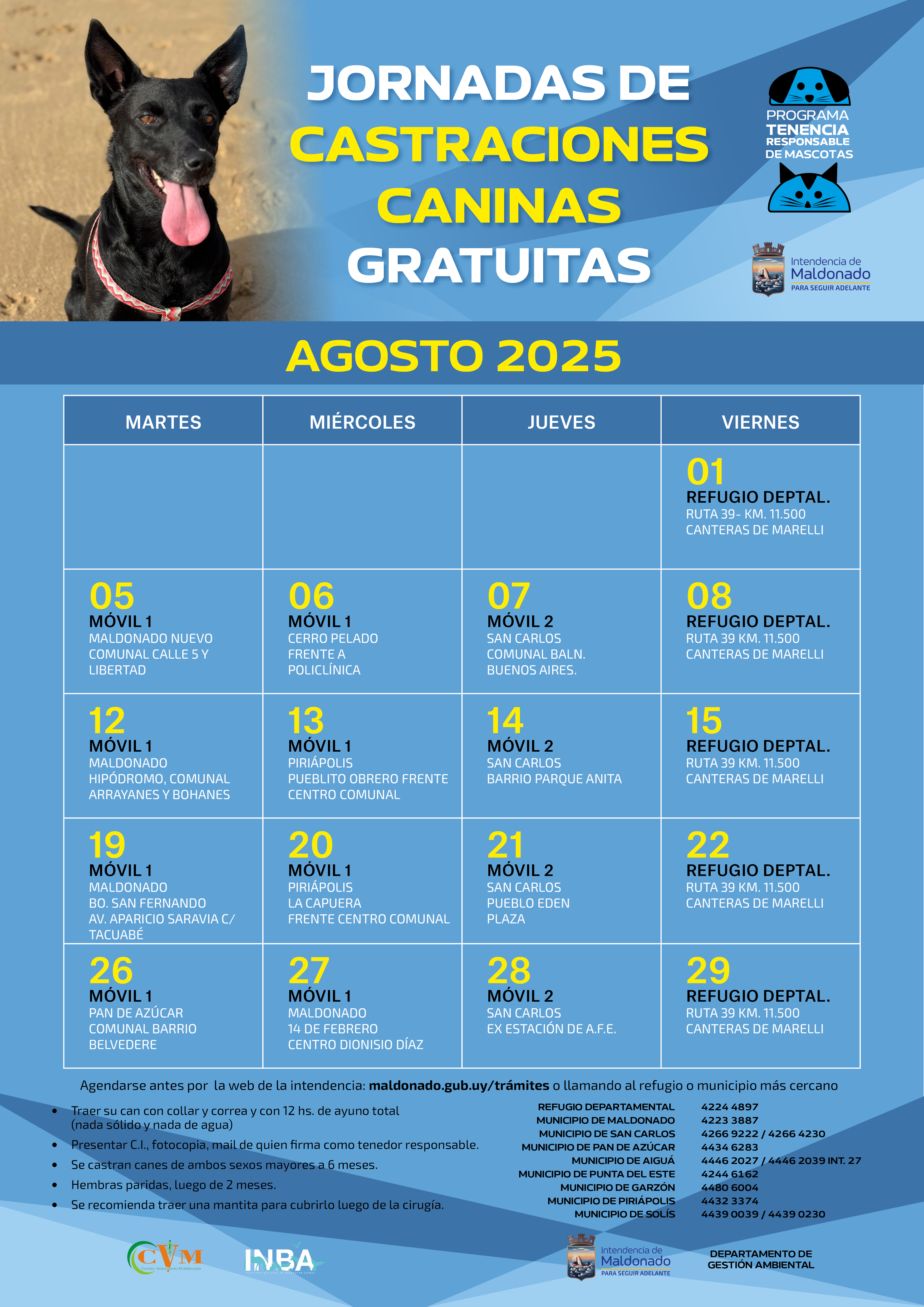 Calendario de castraciones caninas
