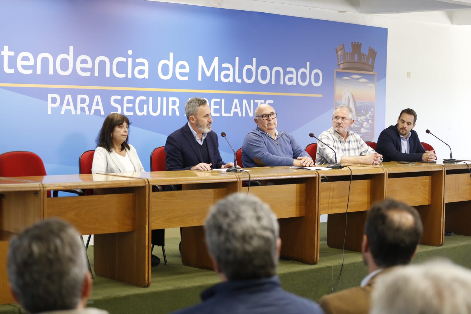 comisiones multipartidarias 