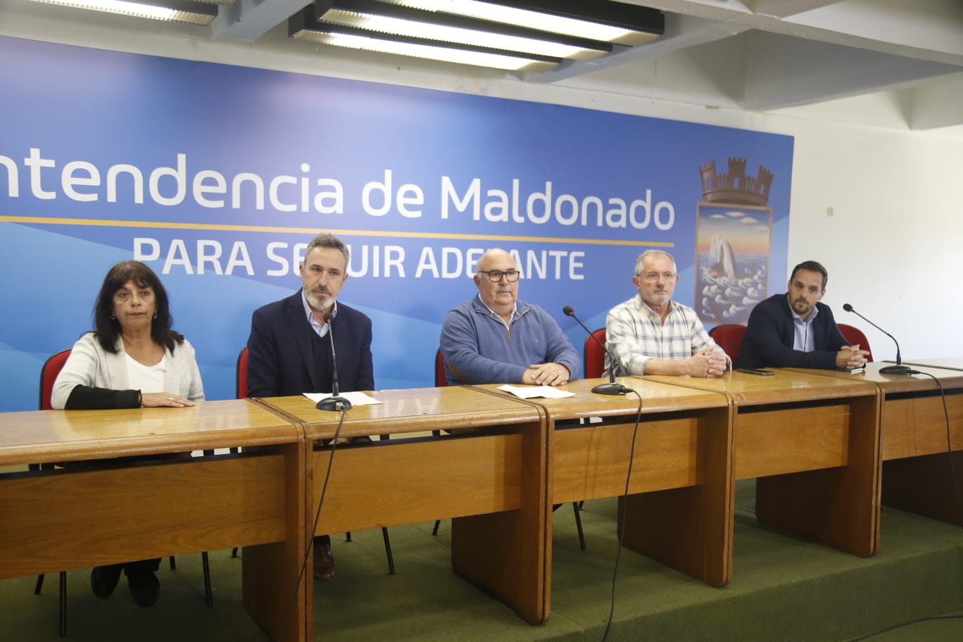 comisiones multipartidarias 