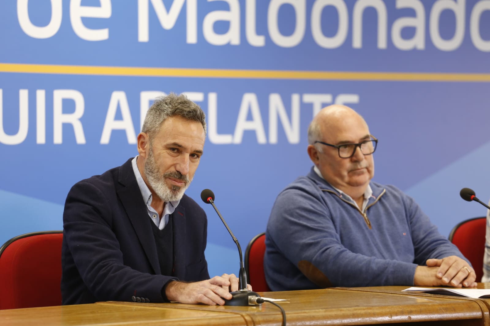 comisiones multipartidarias 