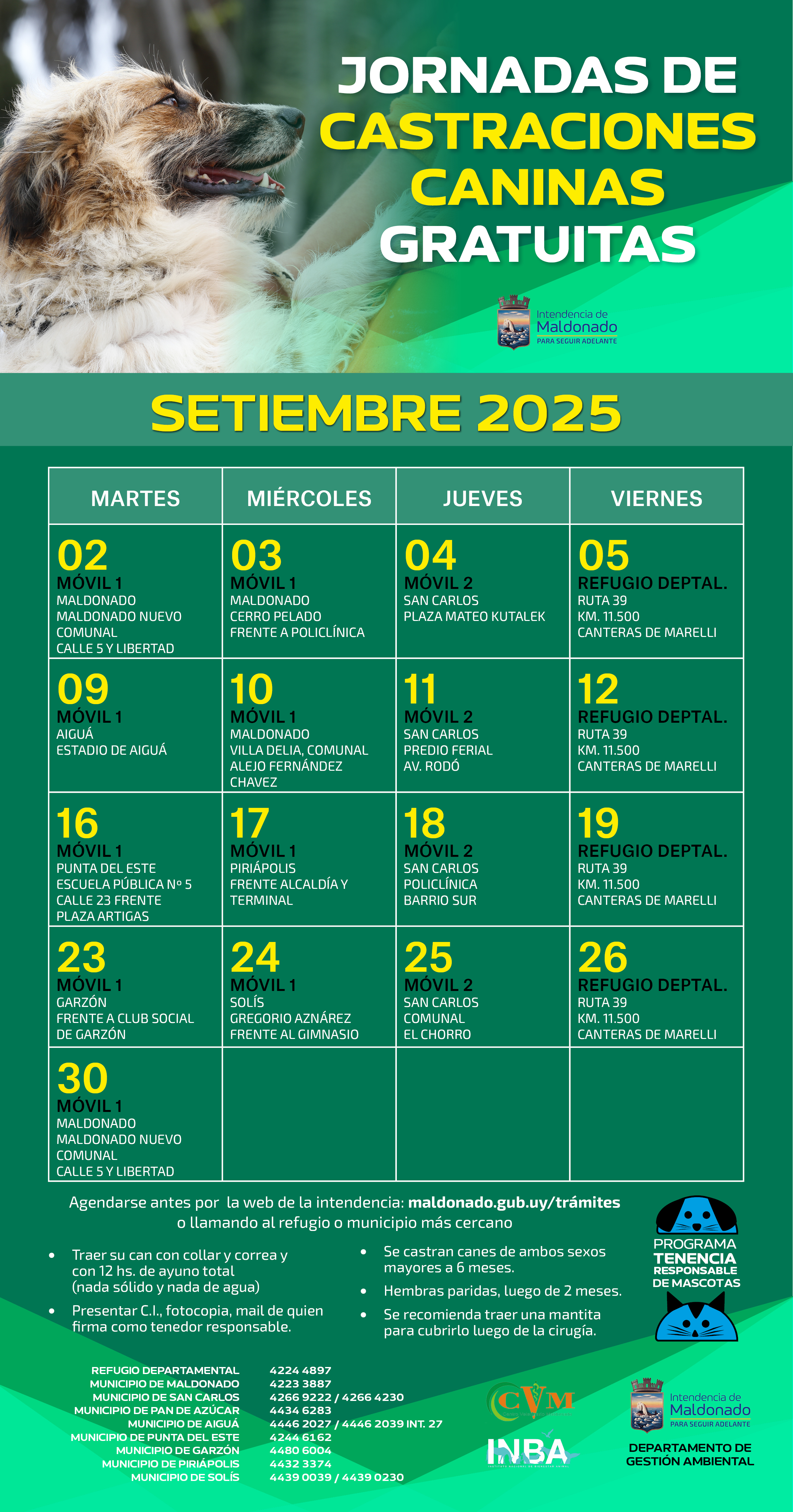 Calendario de castraciones caninas