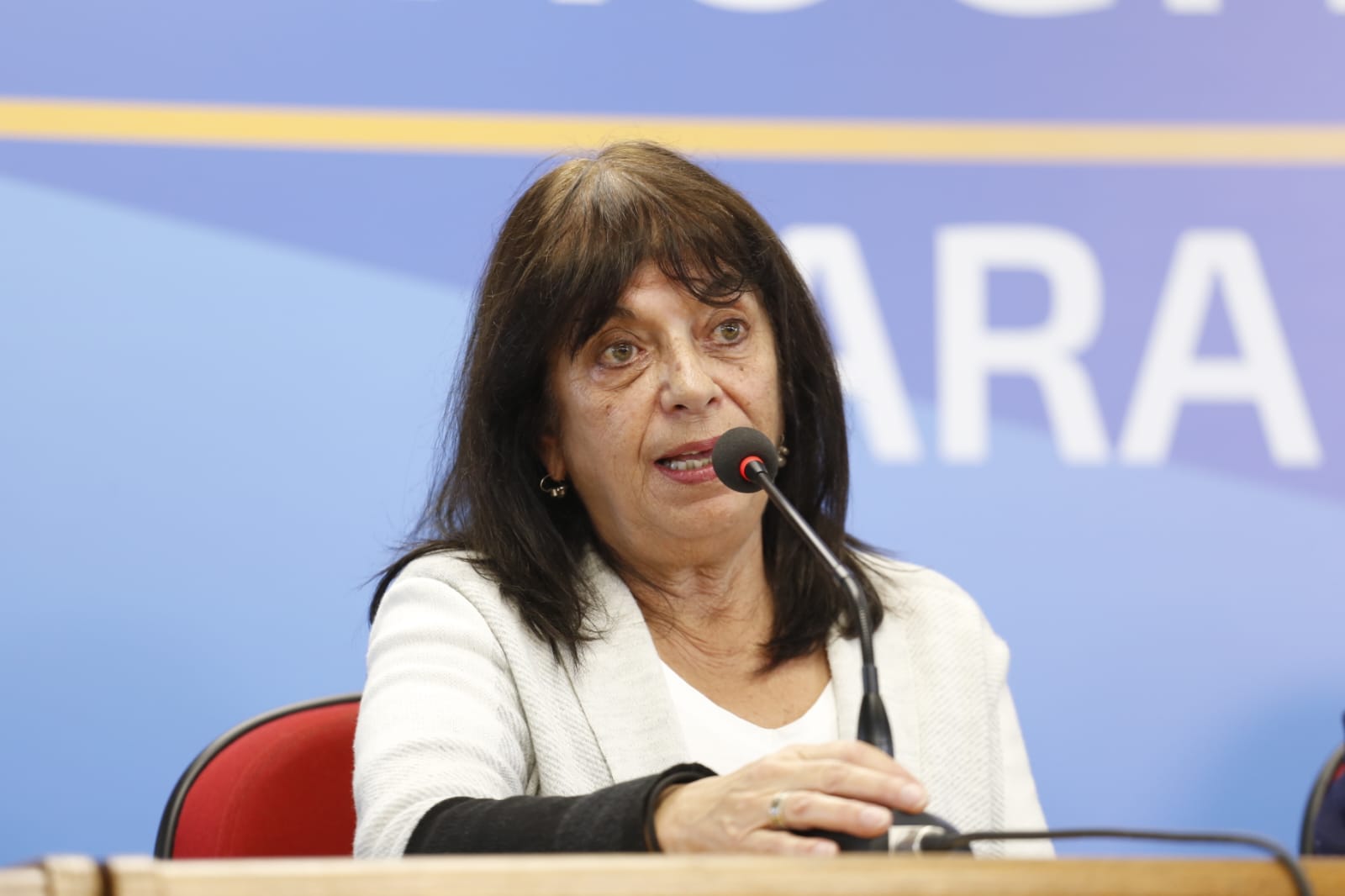 comisiones multipartidarias 