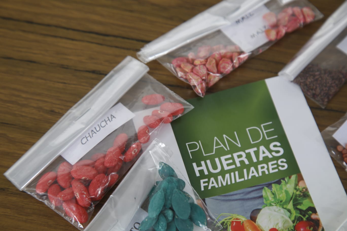 plan huertas familiares semillas