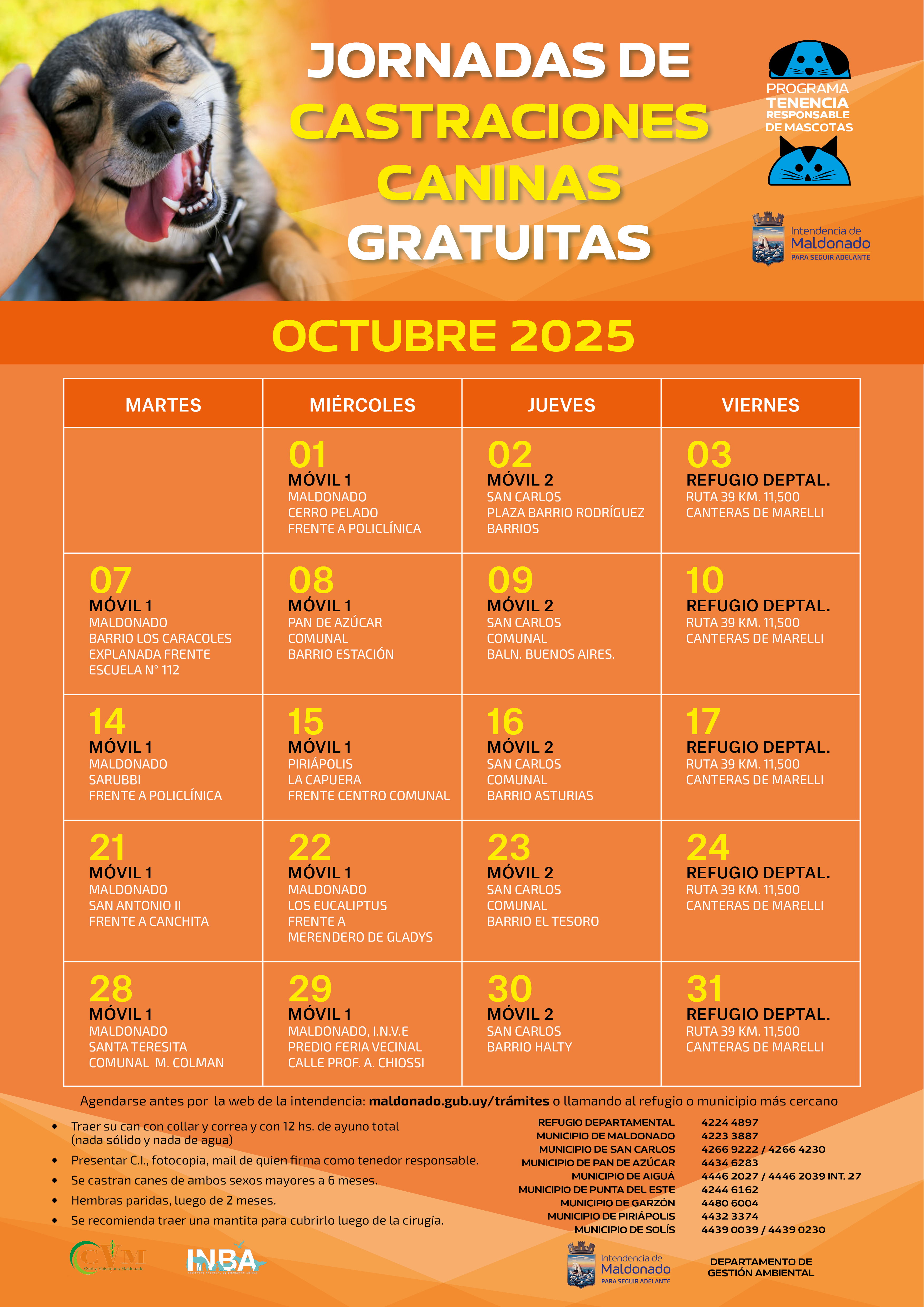 Calendario de castraciones caninas