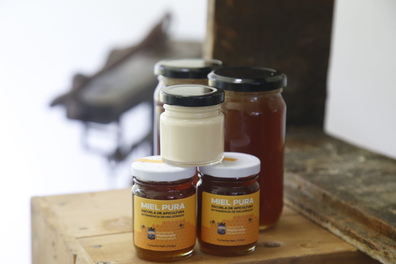 sala extraccion miel