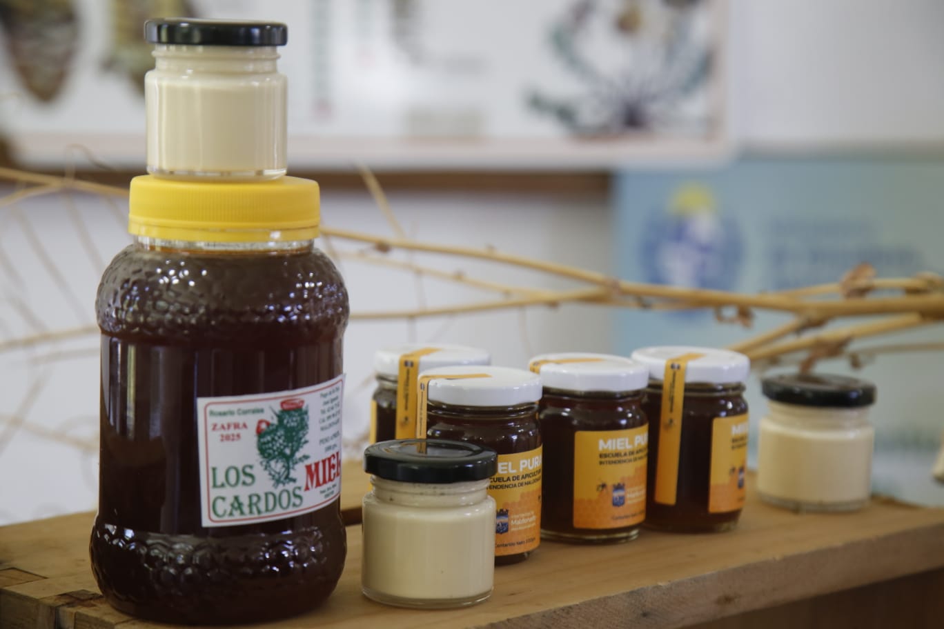 sala extraccion miel