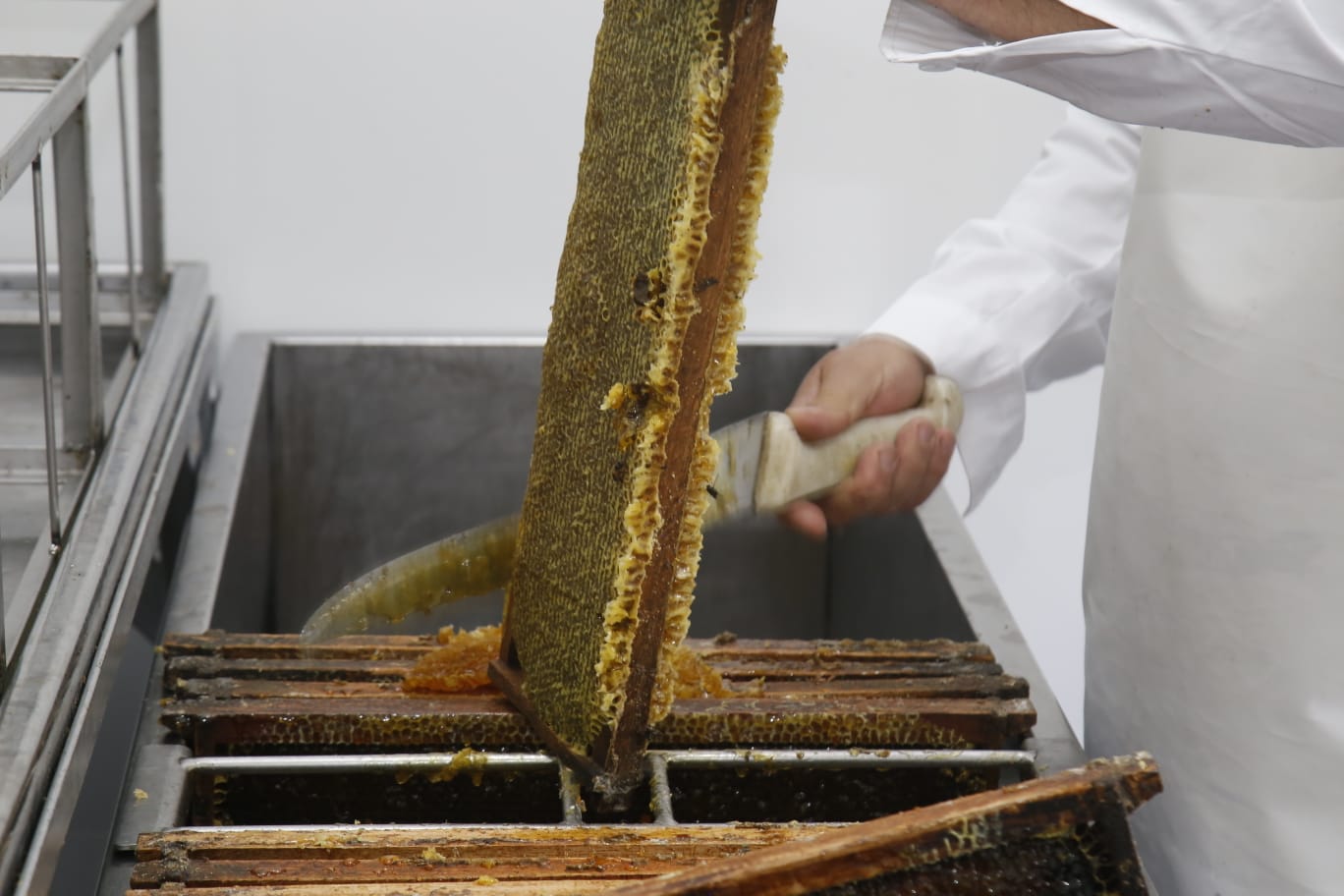 sala extraccion miel