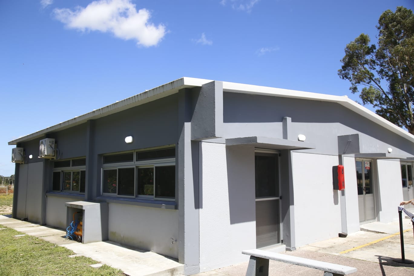 sala extraccion miel