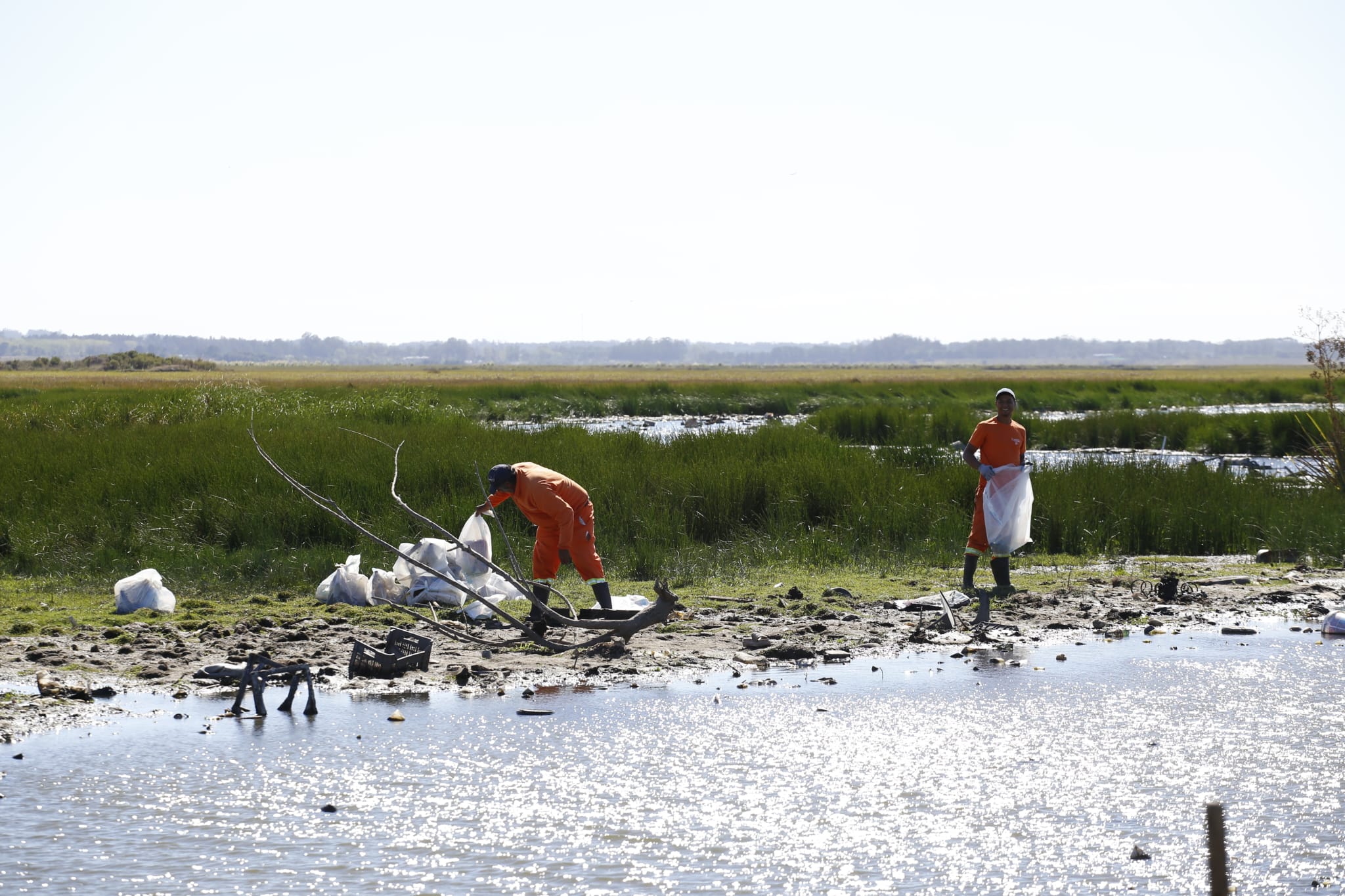 limpieza cañada humedal
