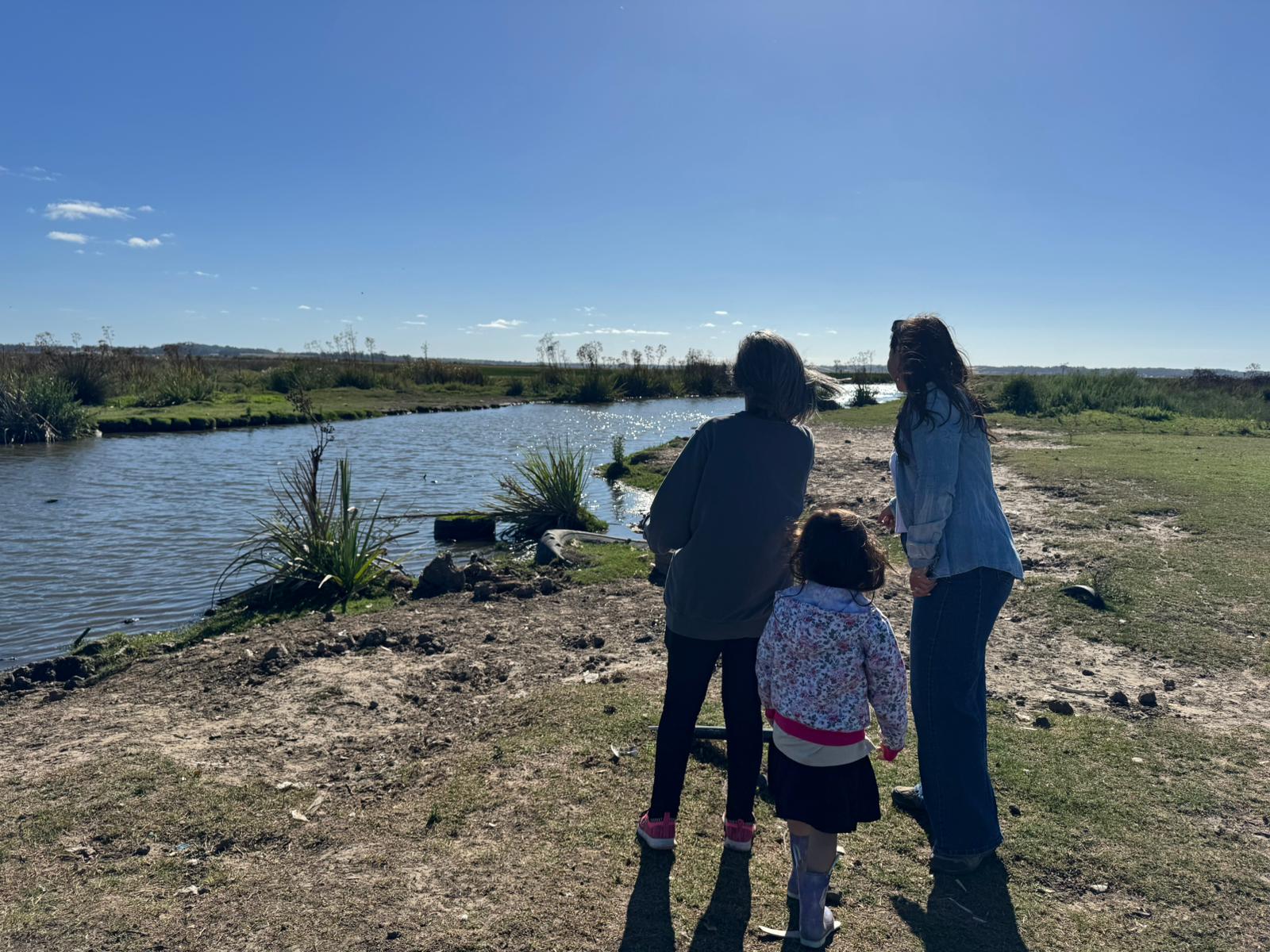 limpieza cañada humedal