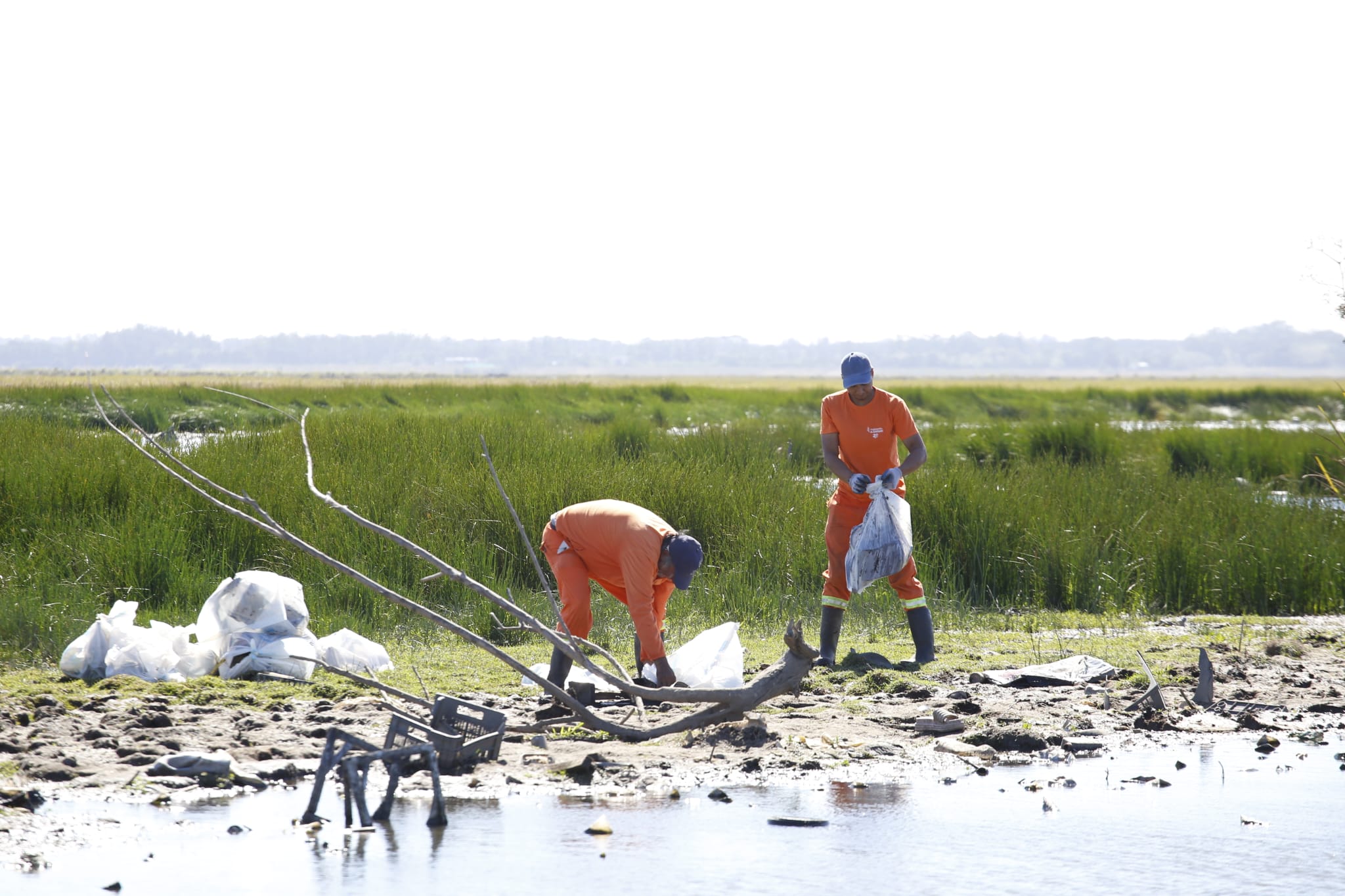 limpieza cañada humedal