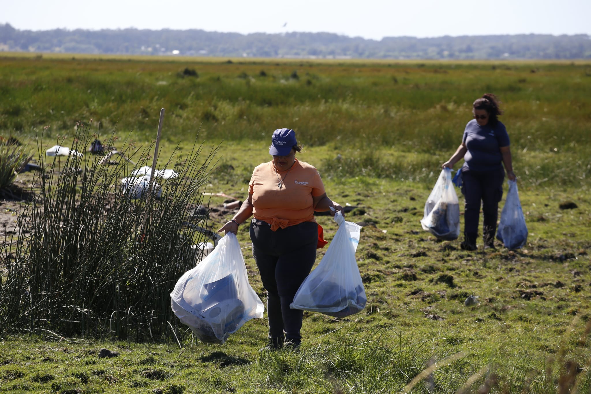 limpieza cañada humedal