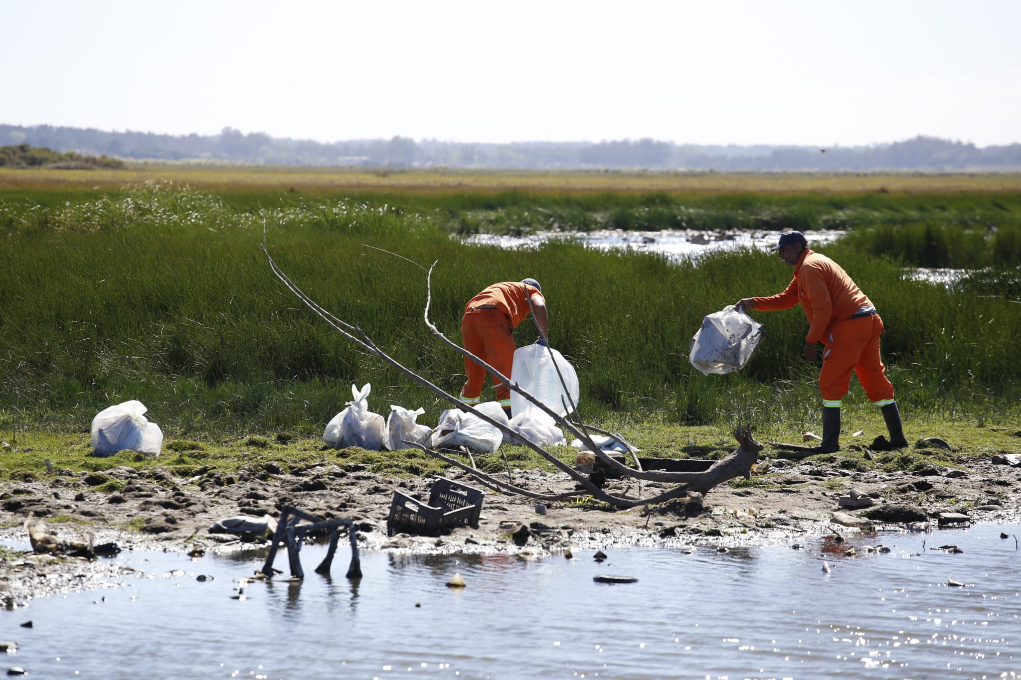 limpieza cañada humedal