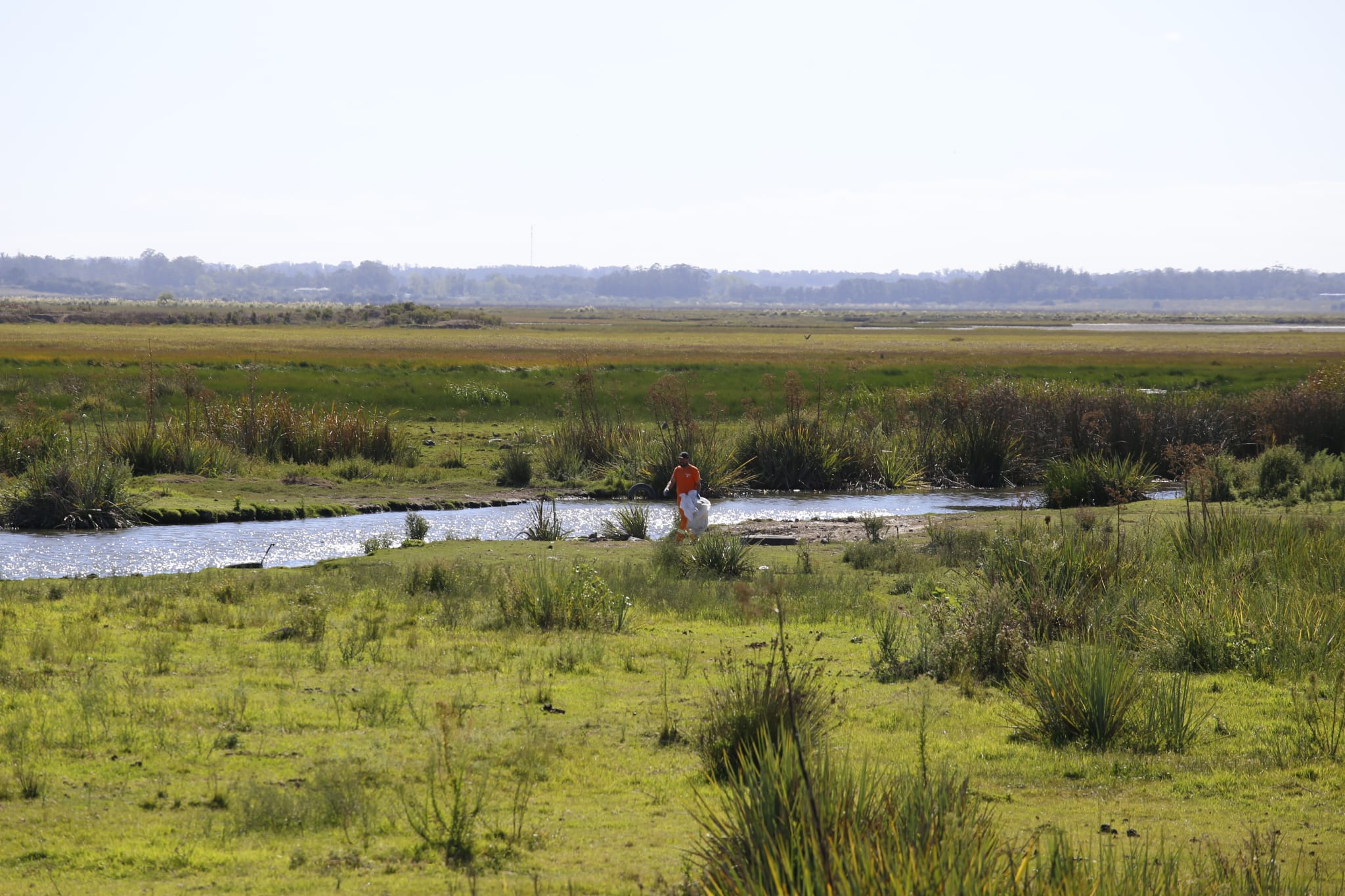 limpieza cañada humedal