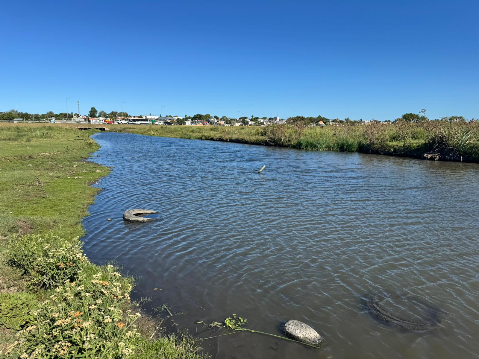 limpieza cañada humedal