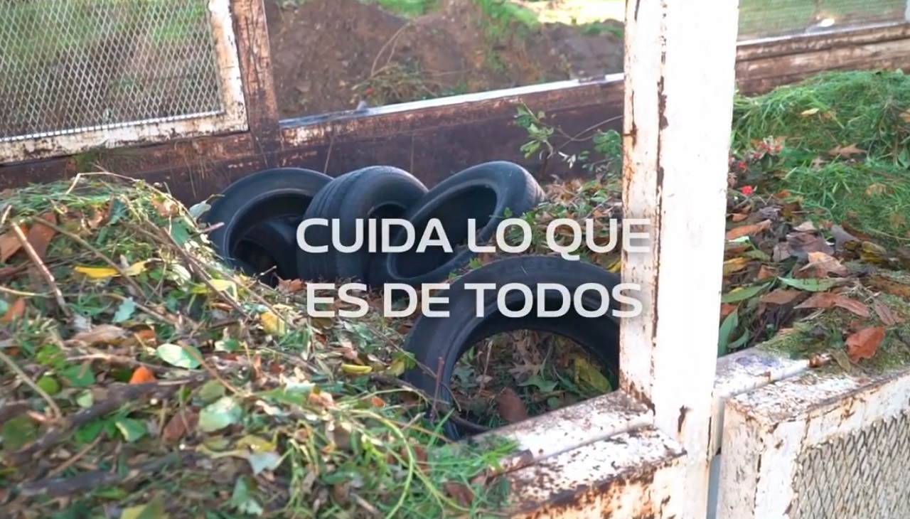 cajas