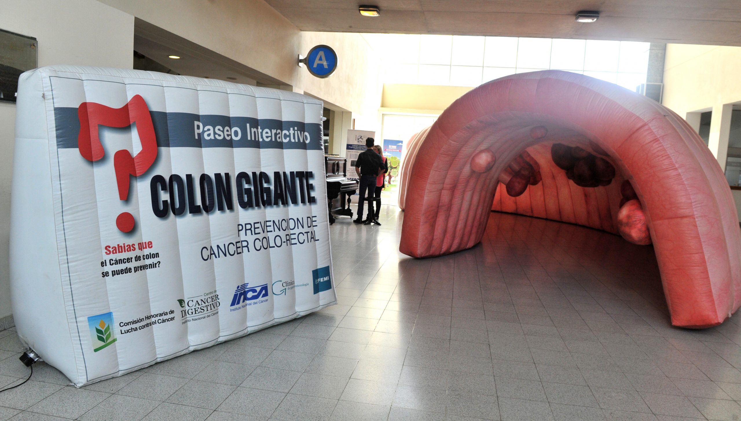 colon
