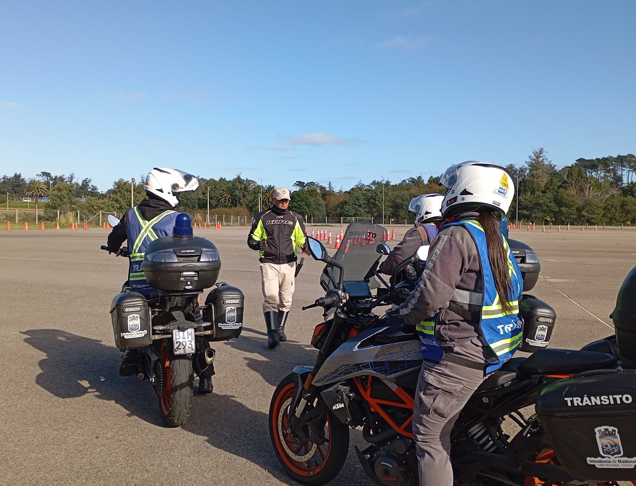 inspectores