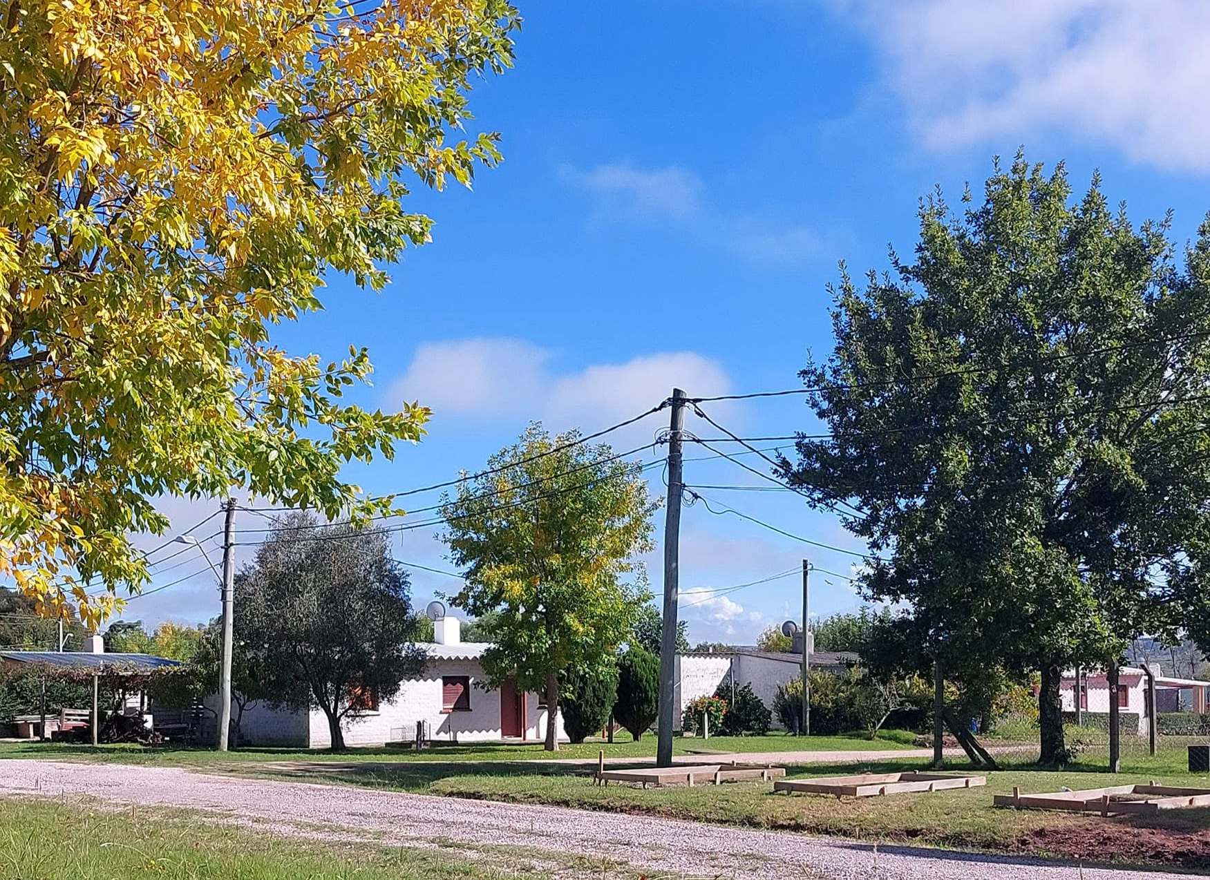 Los