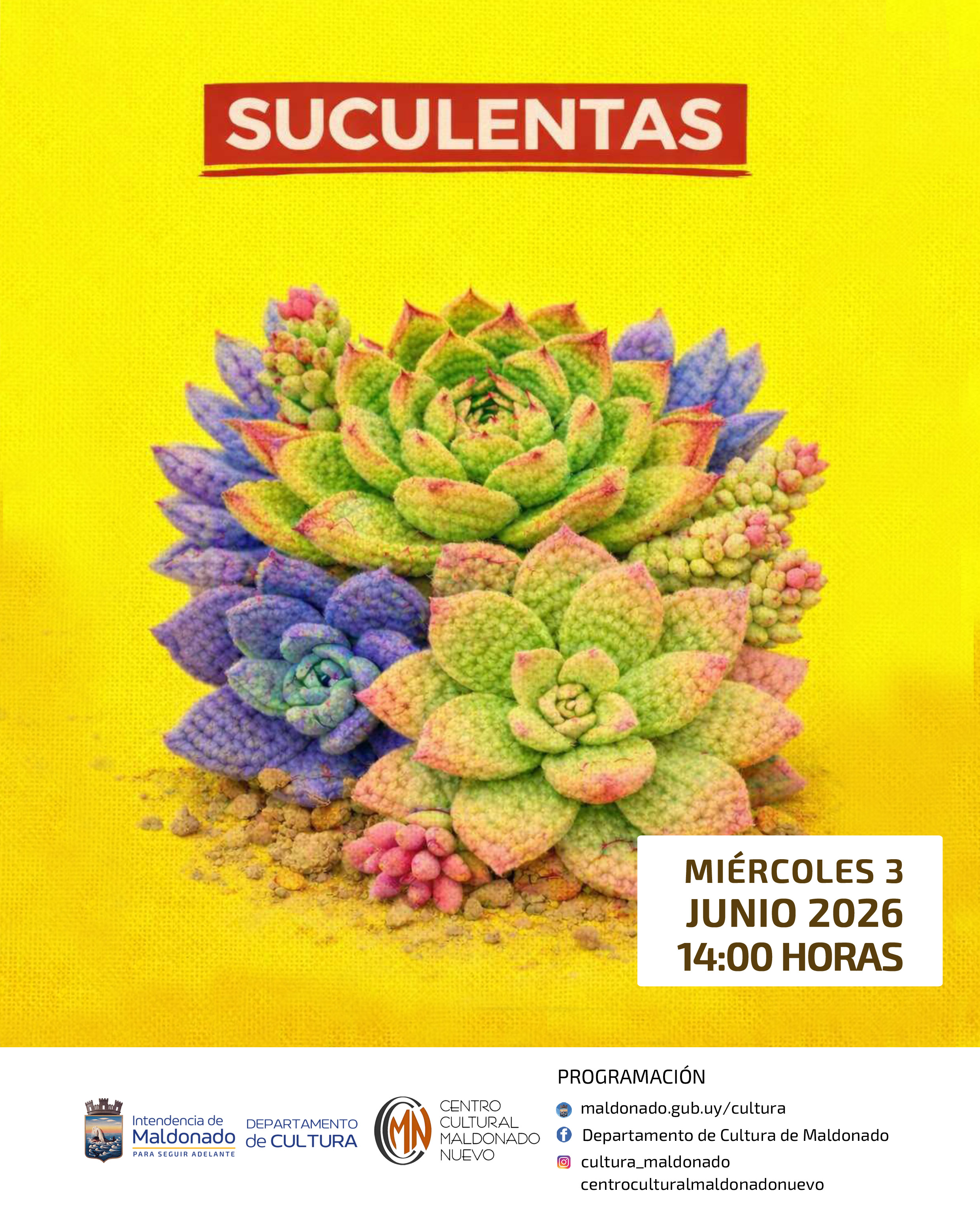 suculentas
