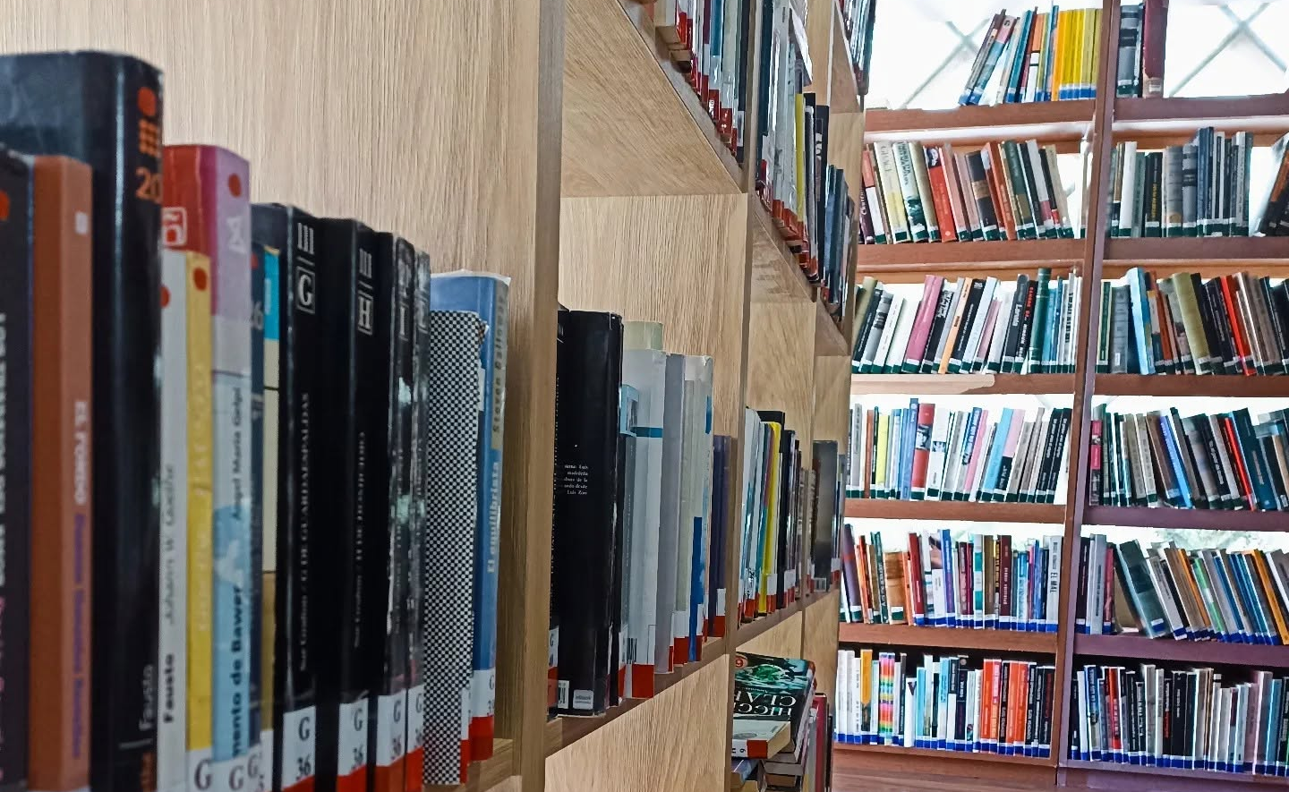 Libros