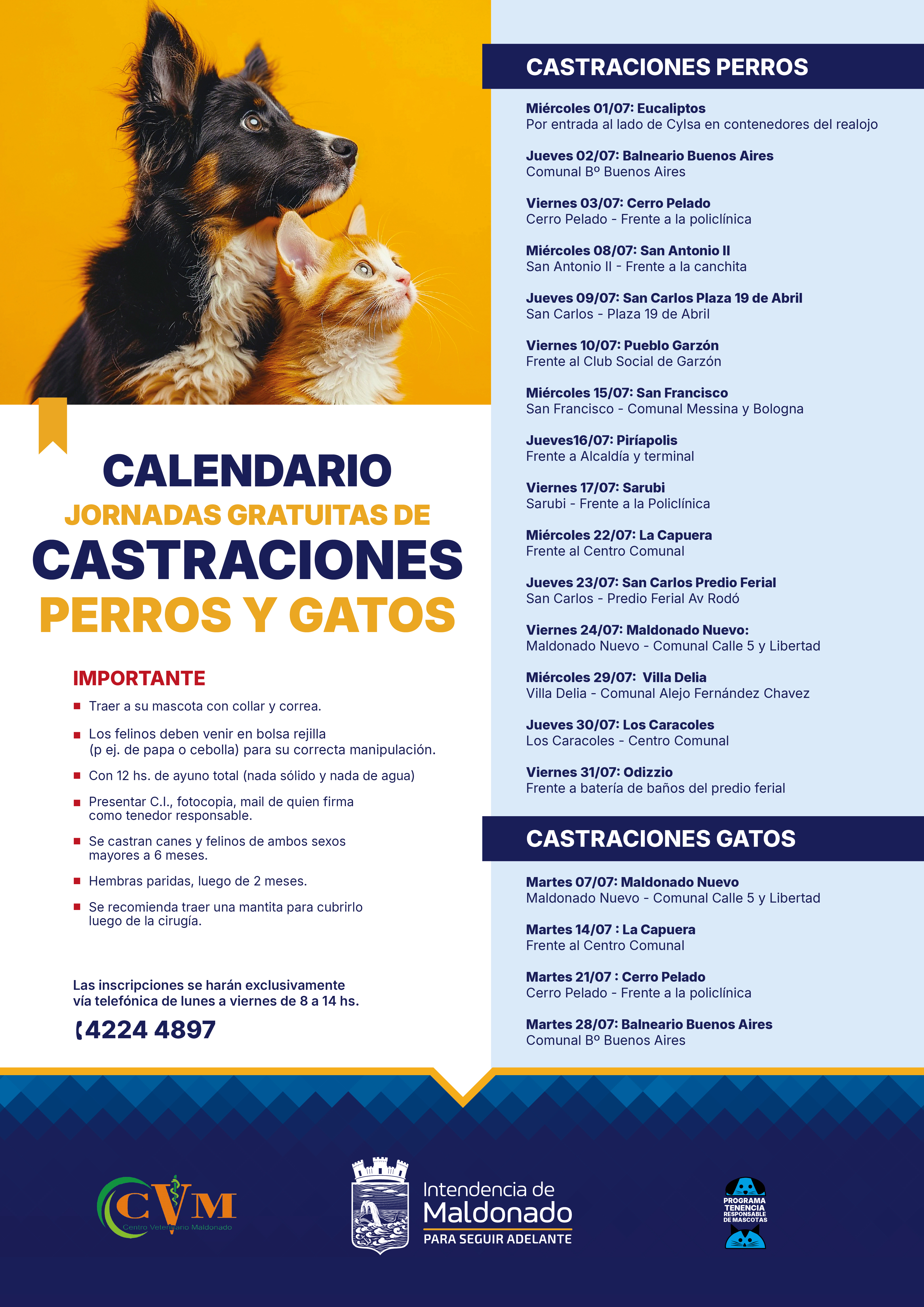 Calendario de castraciones caninas