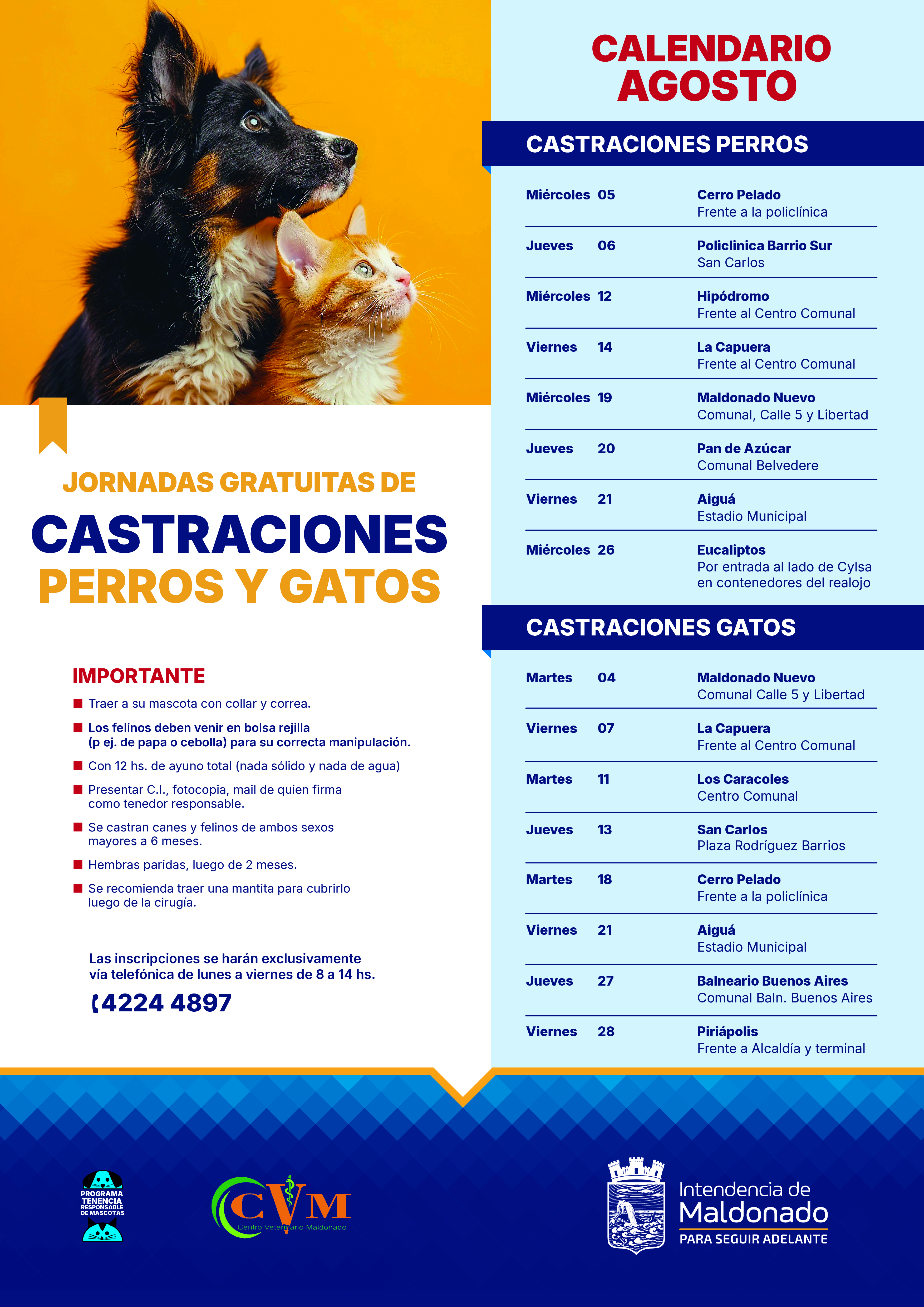 Calendario de castraciones 