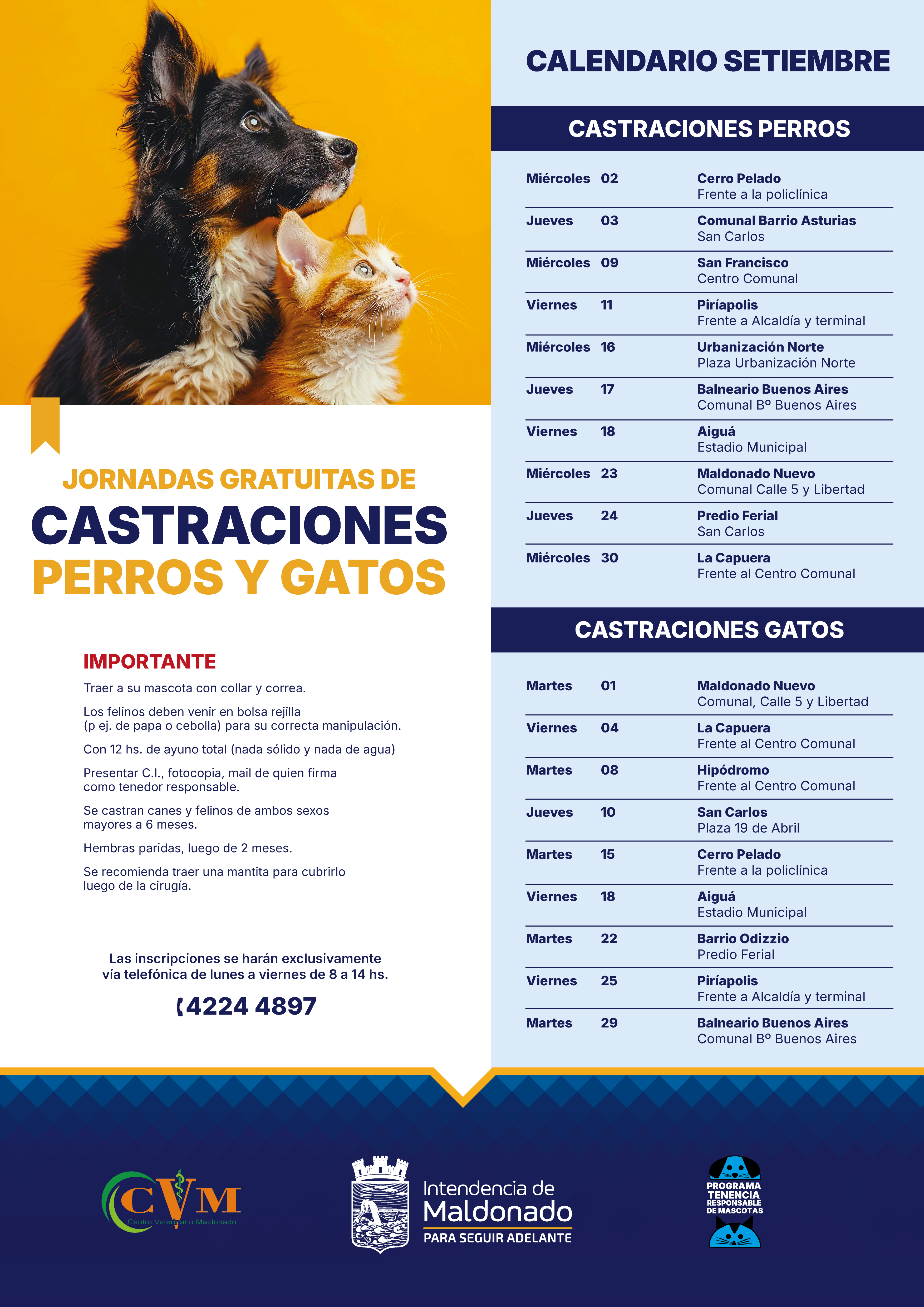 Calendario de castraciones caninas