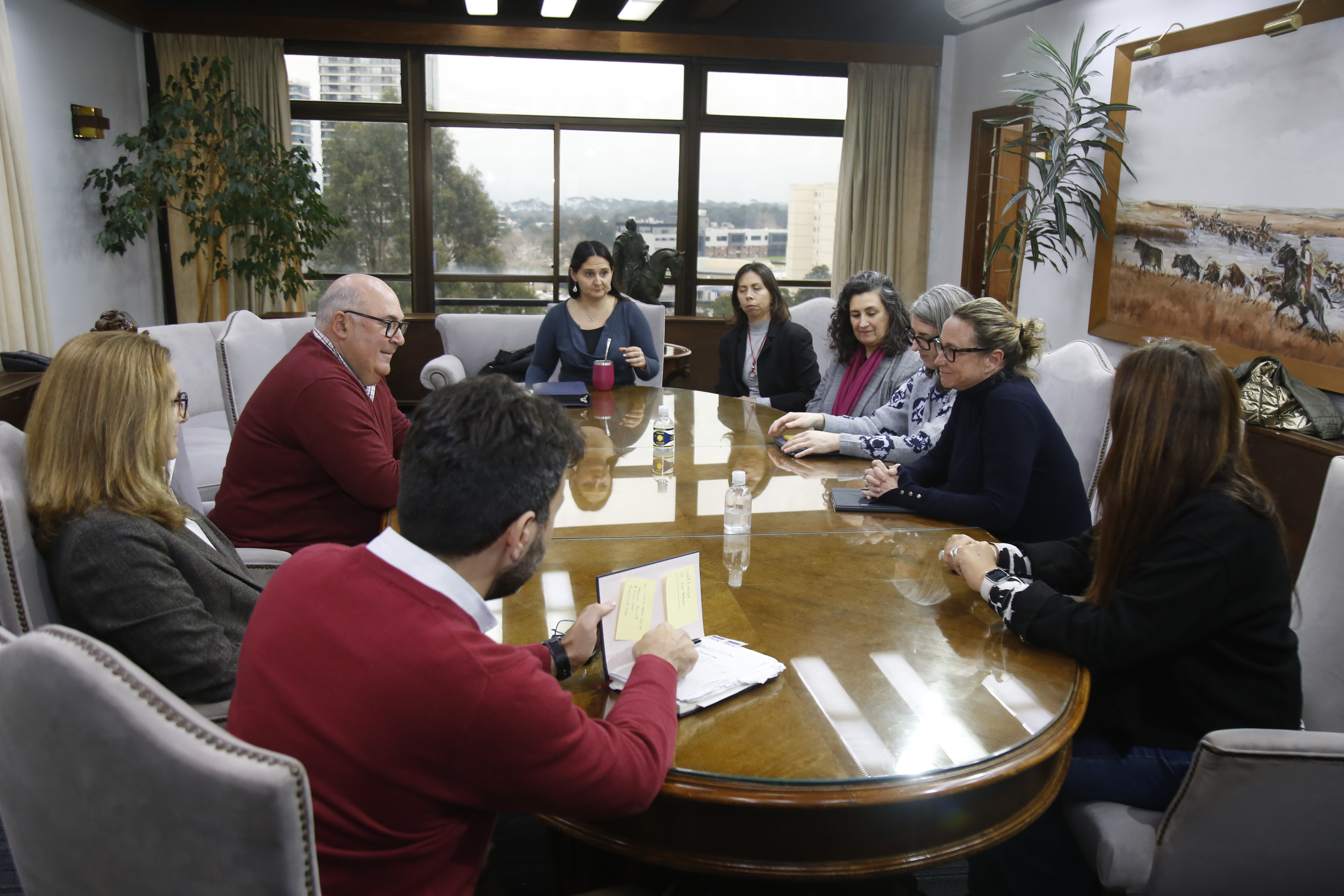 Imagen 5 