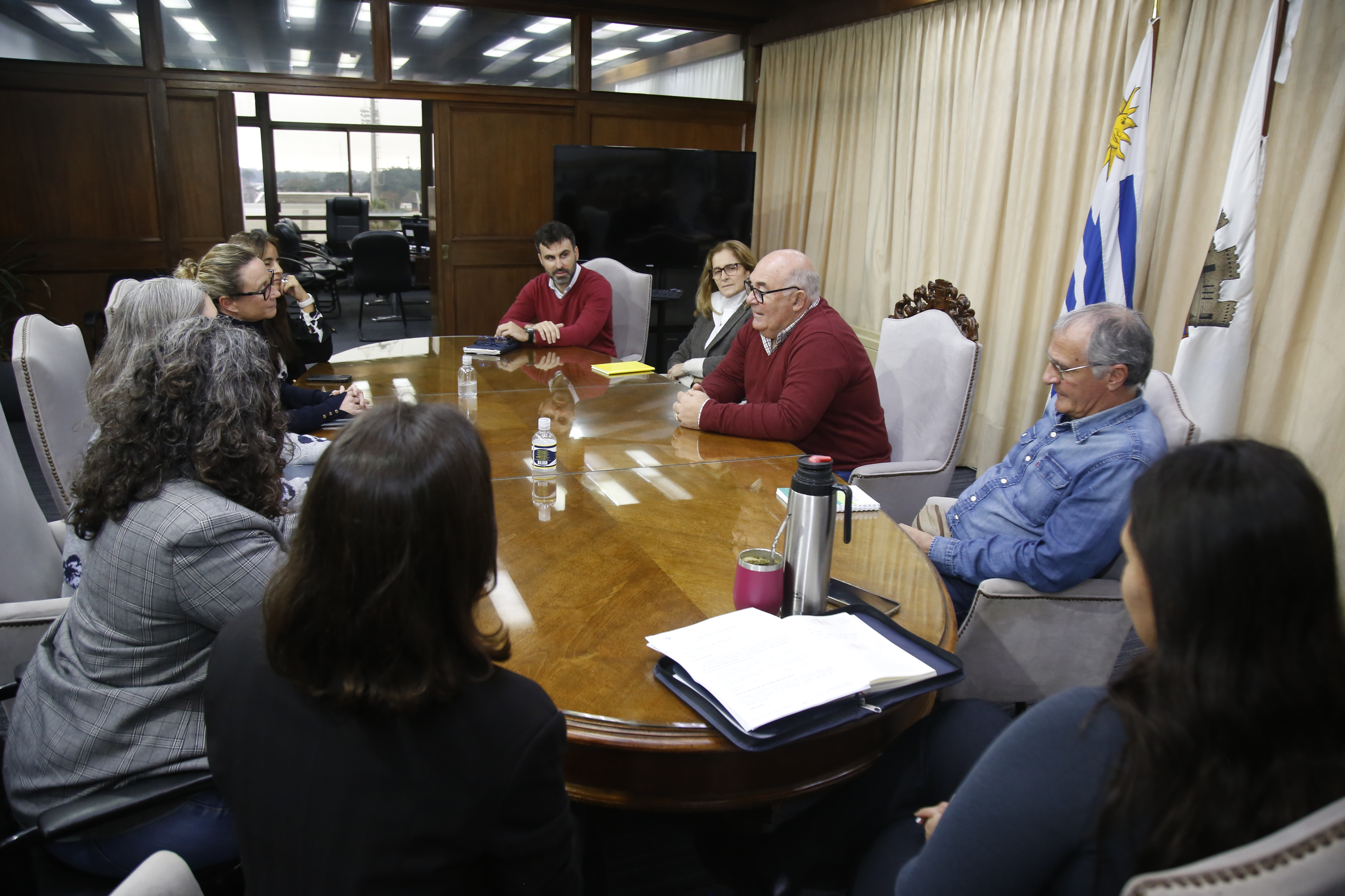 Imagen 7