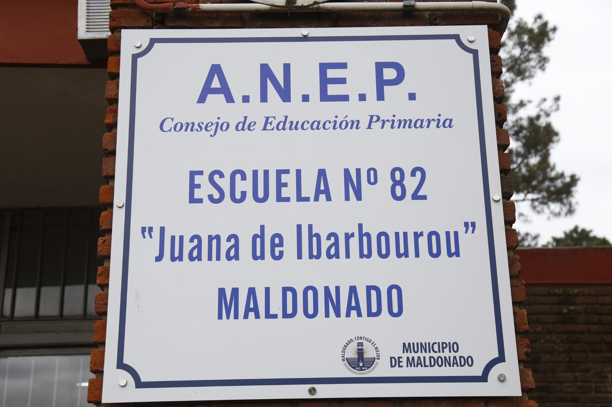 jornadas abella