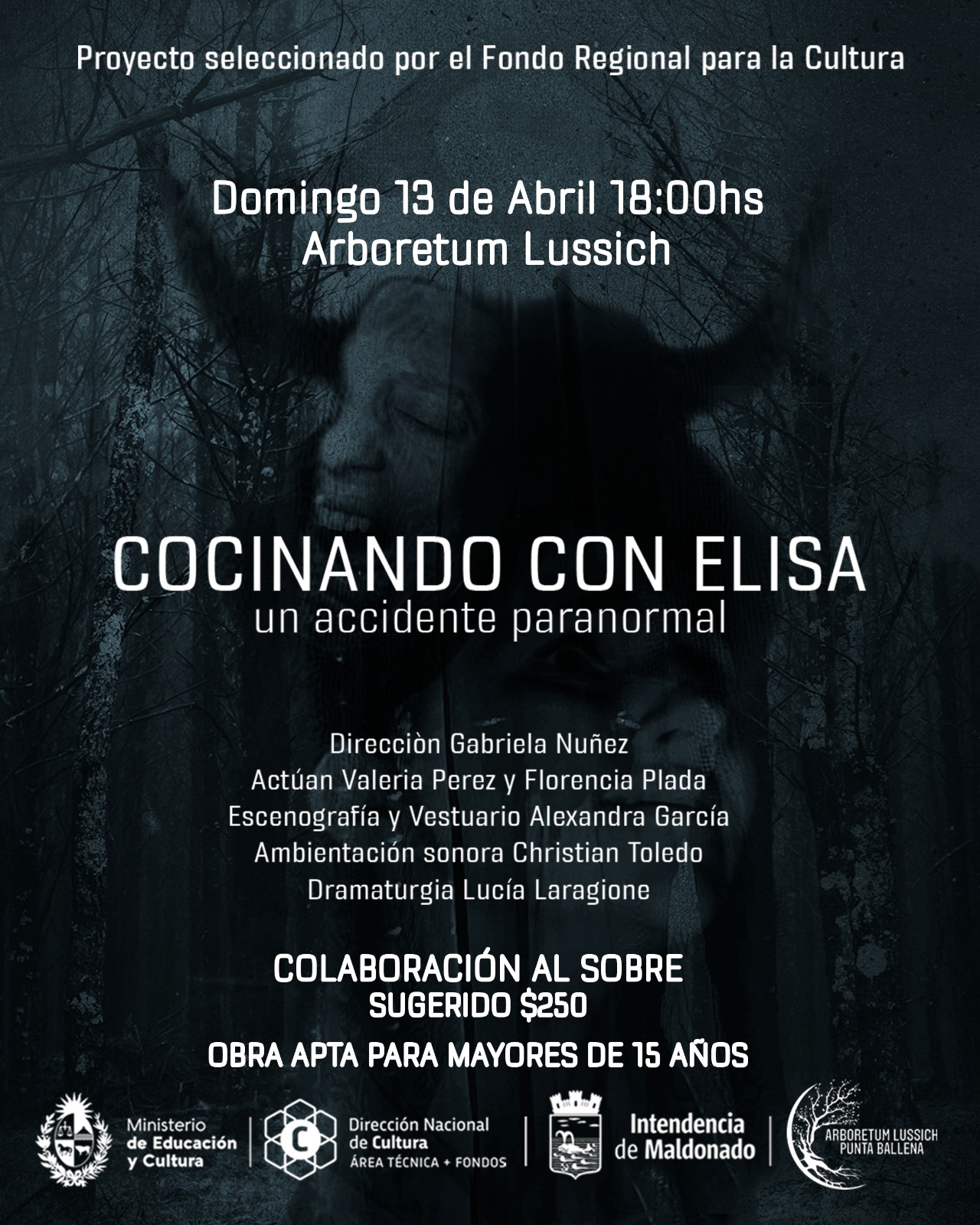 Cocinando con  Elisa